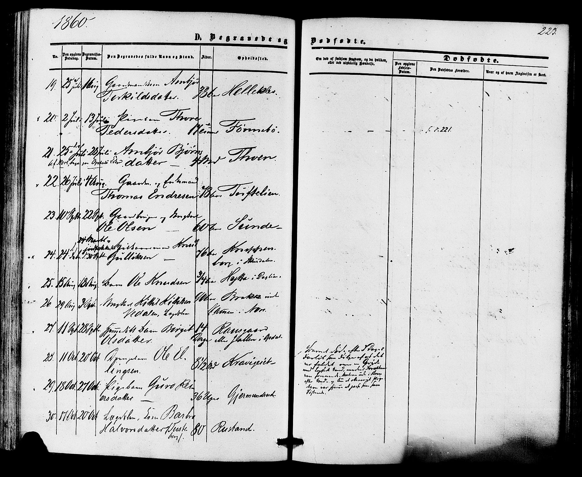 Nore kirkebøker, AV/SAKO-A-238/F/Fa/L0003: Parish register (official) no. I 3, 1858-1866, p. 223