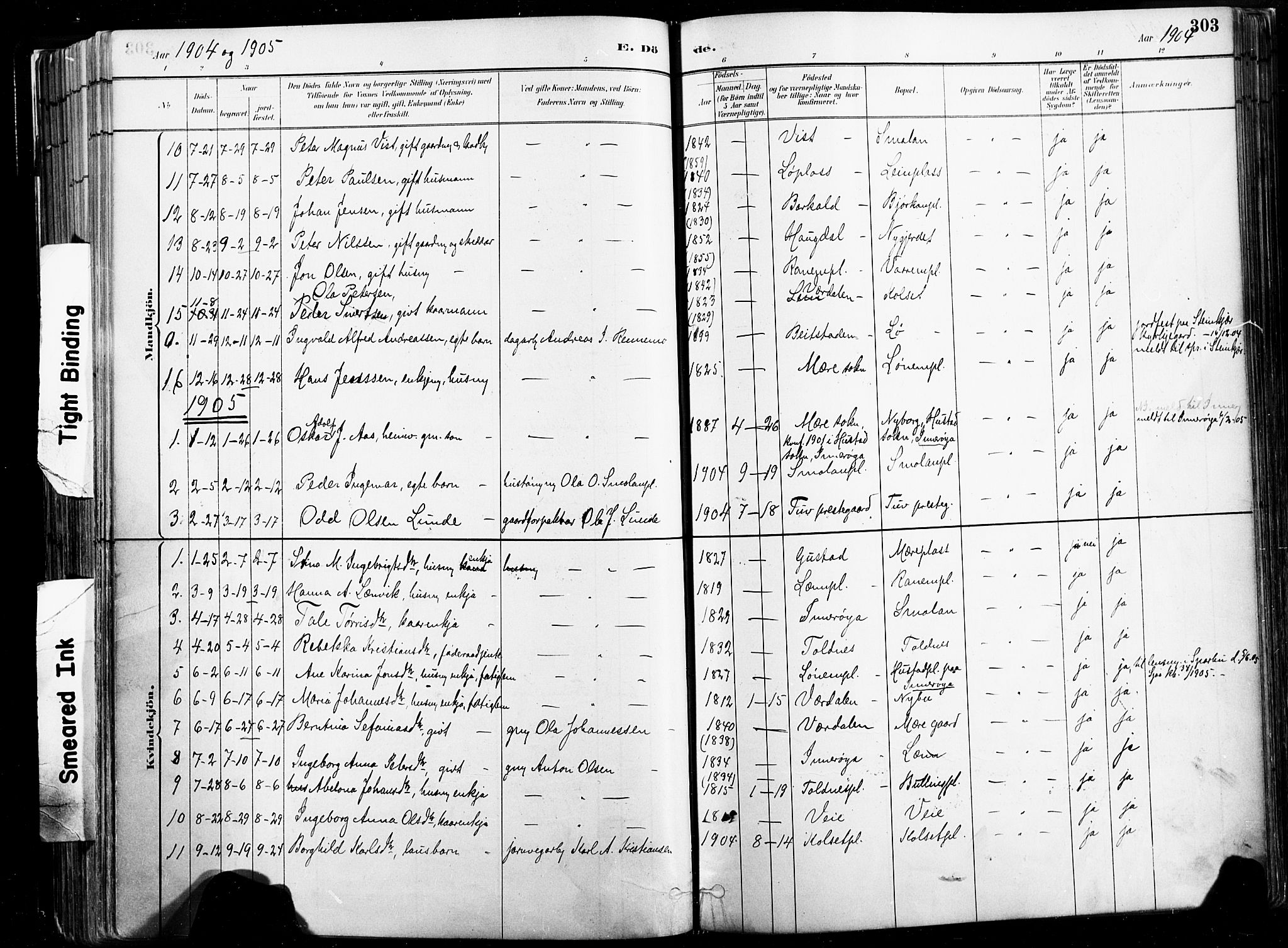 Ministerialprotokoller, klokkerbøker og fødselsregistre - Nord-Trøndelag, SAT/A-1458/735/L0351: Parish register (official) no. 735A10, 1884-1908, p. 303