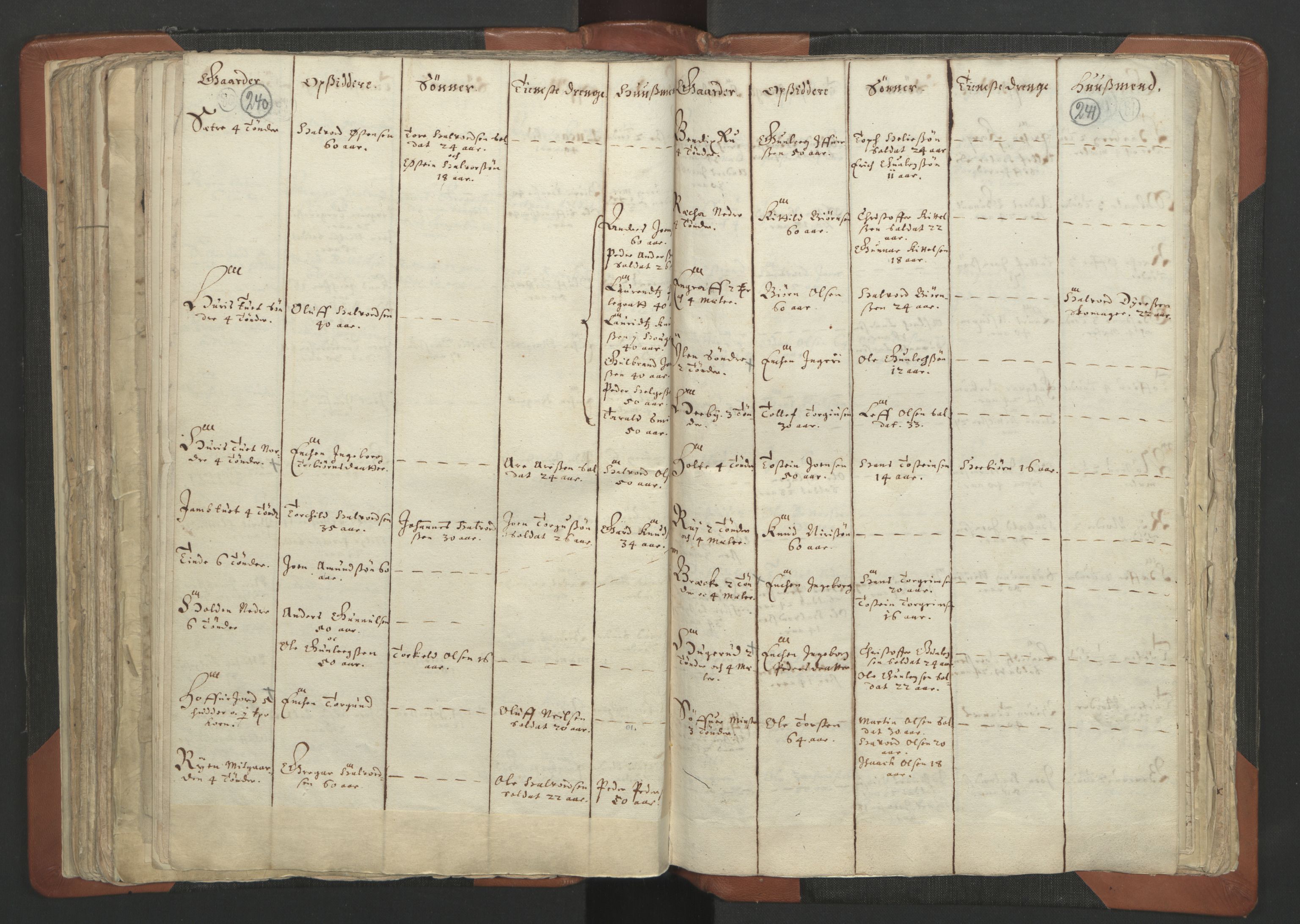 RA, Vicar's Census 1664-1666, no. 12: Øvre Telemark deanery, Nedre Telemark deanery and Bamble deanery, 1664-1666, p. 240-241