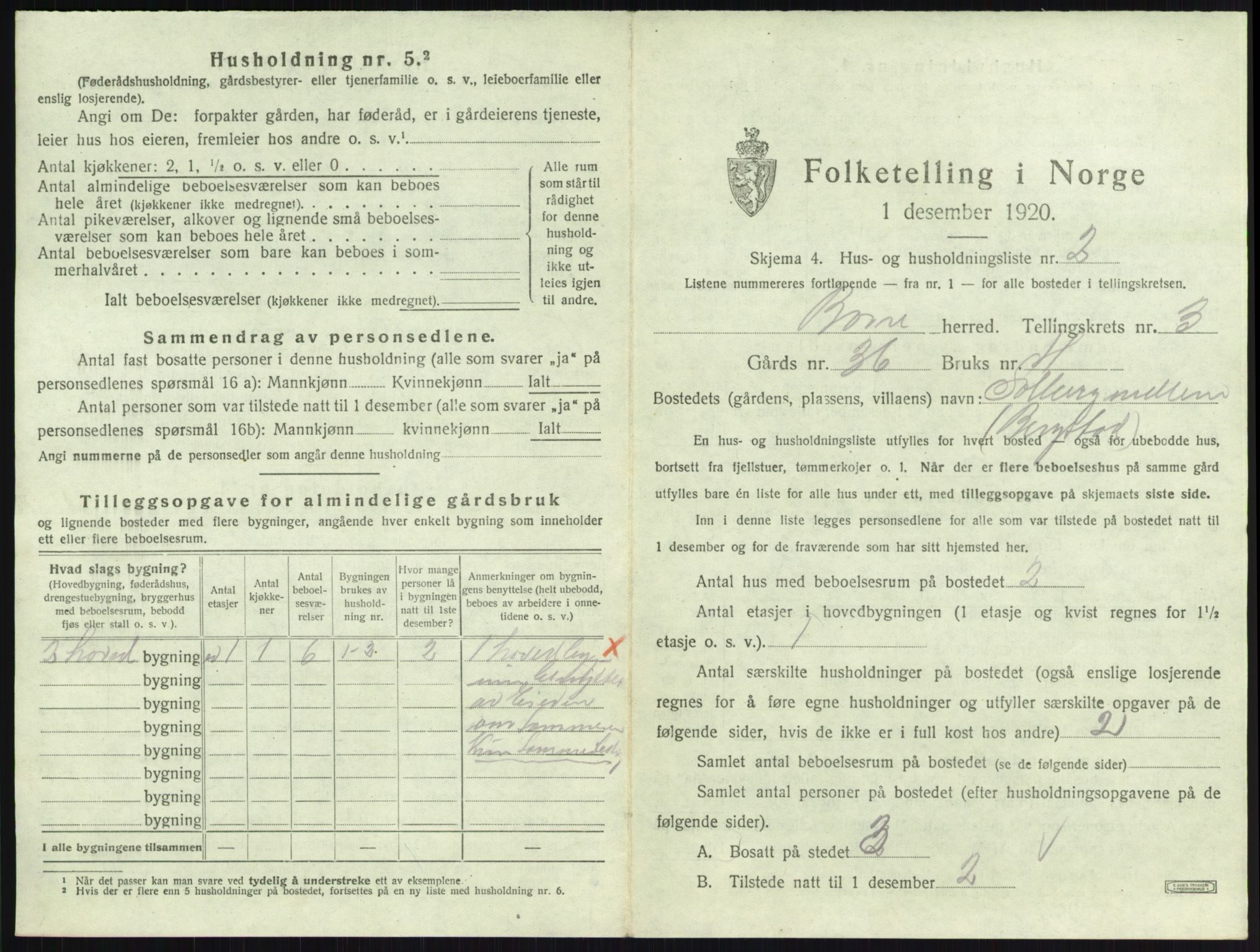 SAKO, 1920 census for Borre, 1920, p. 807