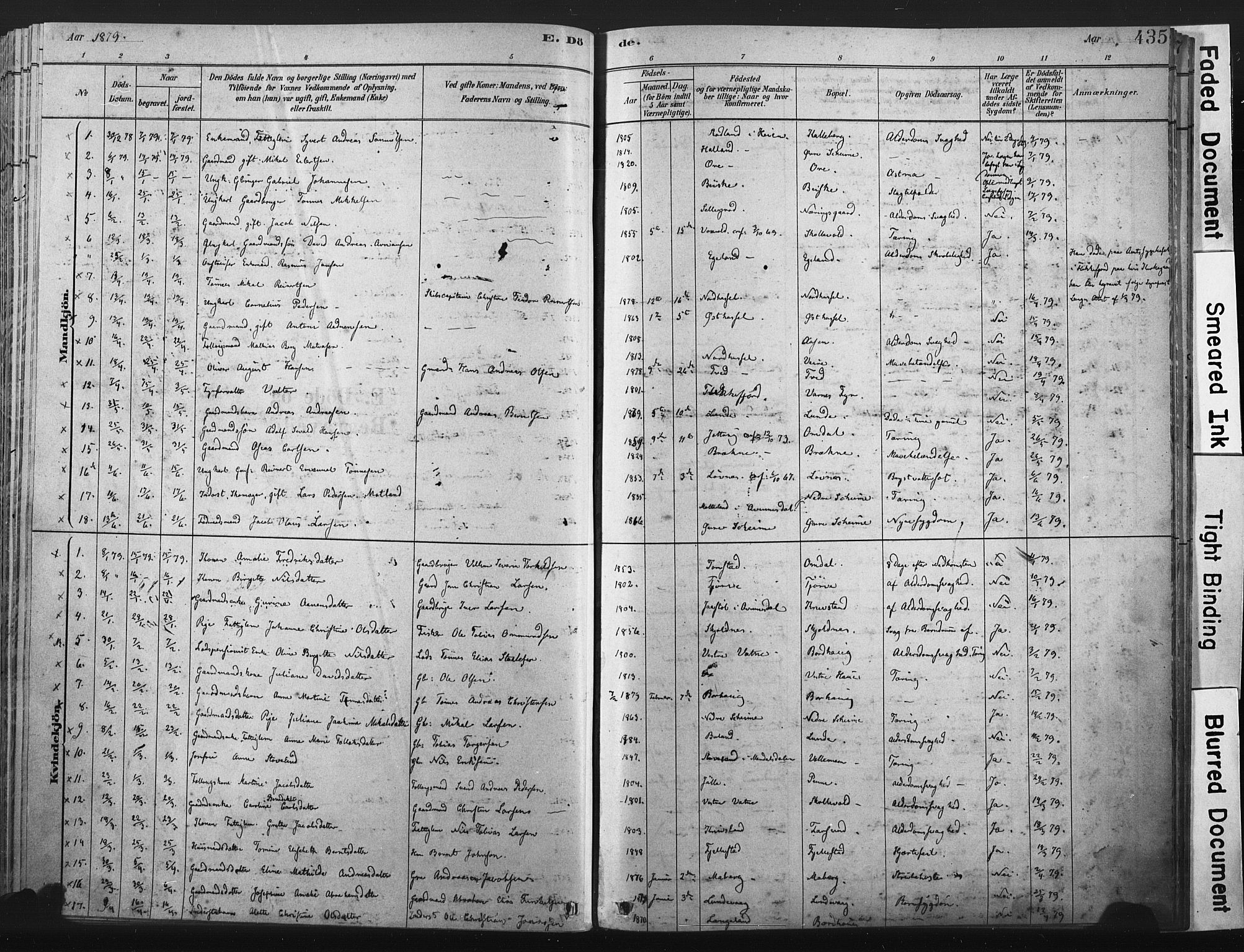 Lista sokneprestkontor, SAK/1111-0027/F/Fa/L0012: Parish register (official) no. A 12, 1879-1903, p. 435