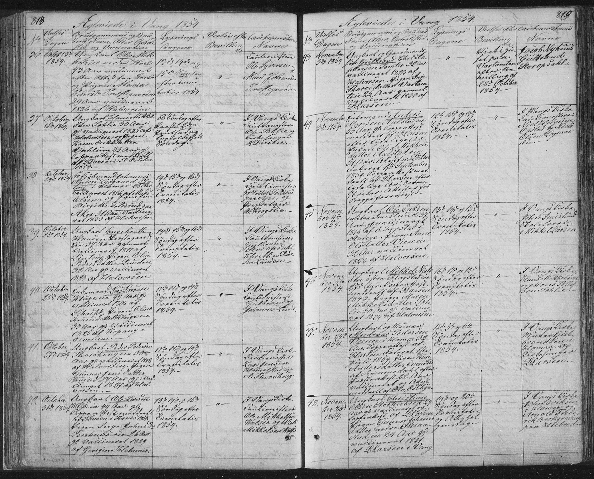 Vang prestekontor, Hedmark, SAH/PREST-008/H/Ha/Hab/L0010B: Parish register (copy) no. 10b, 1854-1896, p. 818-819