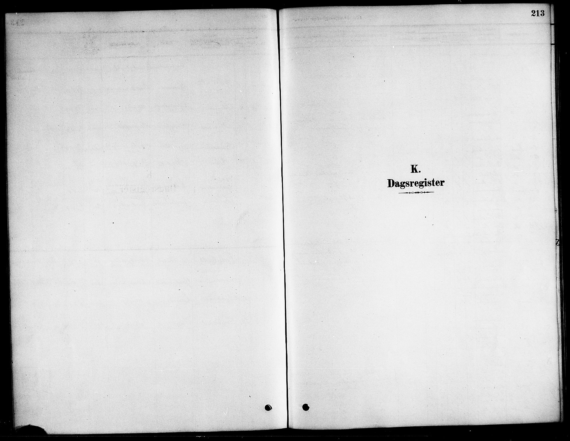 Ministerialprotokoller, klokkerbøker og fødselsregistre - Nordland, SAT/A-1459/823/L0330: Parish register (copy) no. 823C02, 1879-1916, p. 213