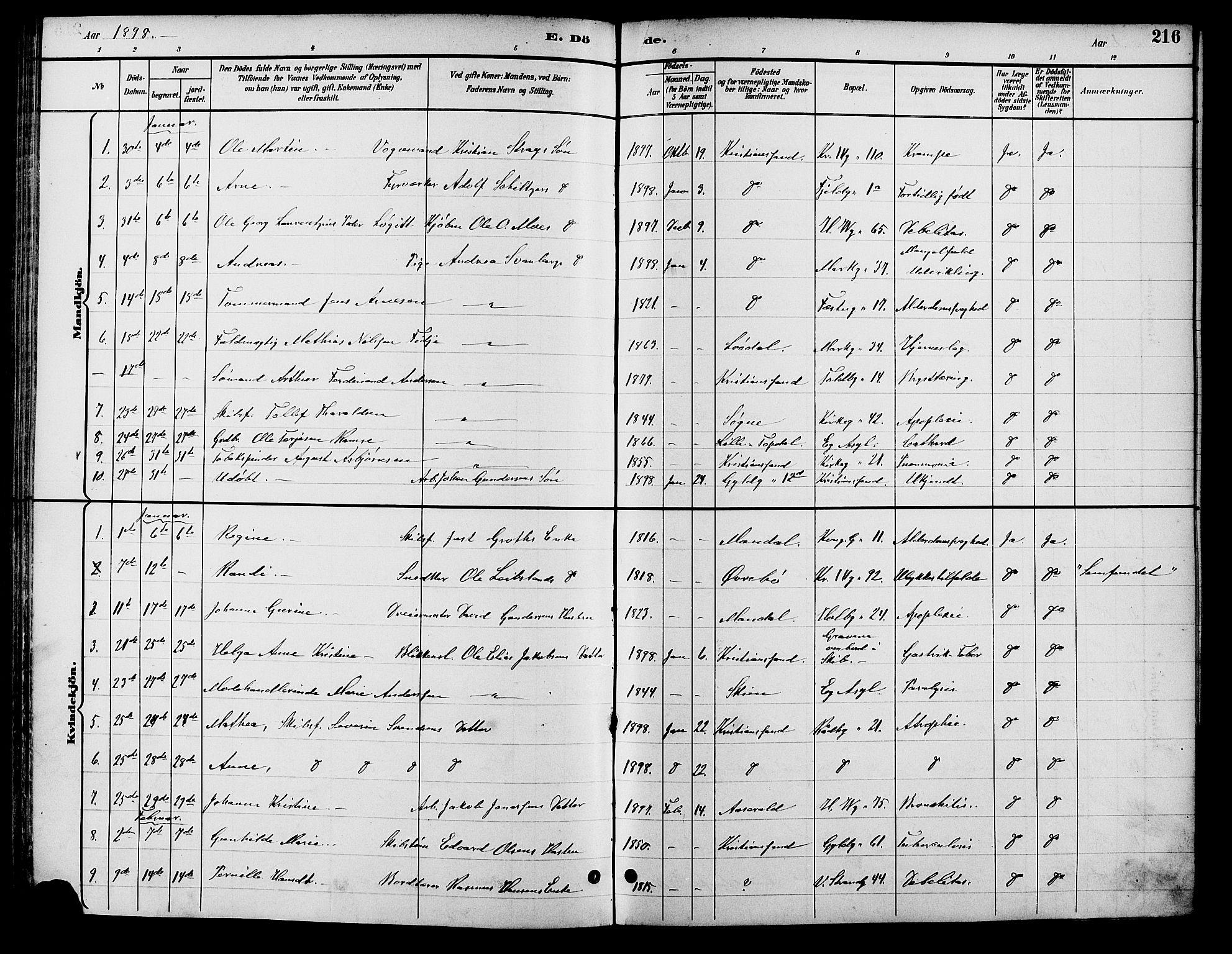 Kristiansand domprosti, AV/SAK-1112-0006/F/Fb/L0017: Parish register (copy) no. B 17, 1893-1906, p. 216