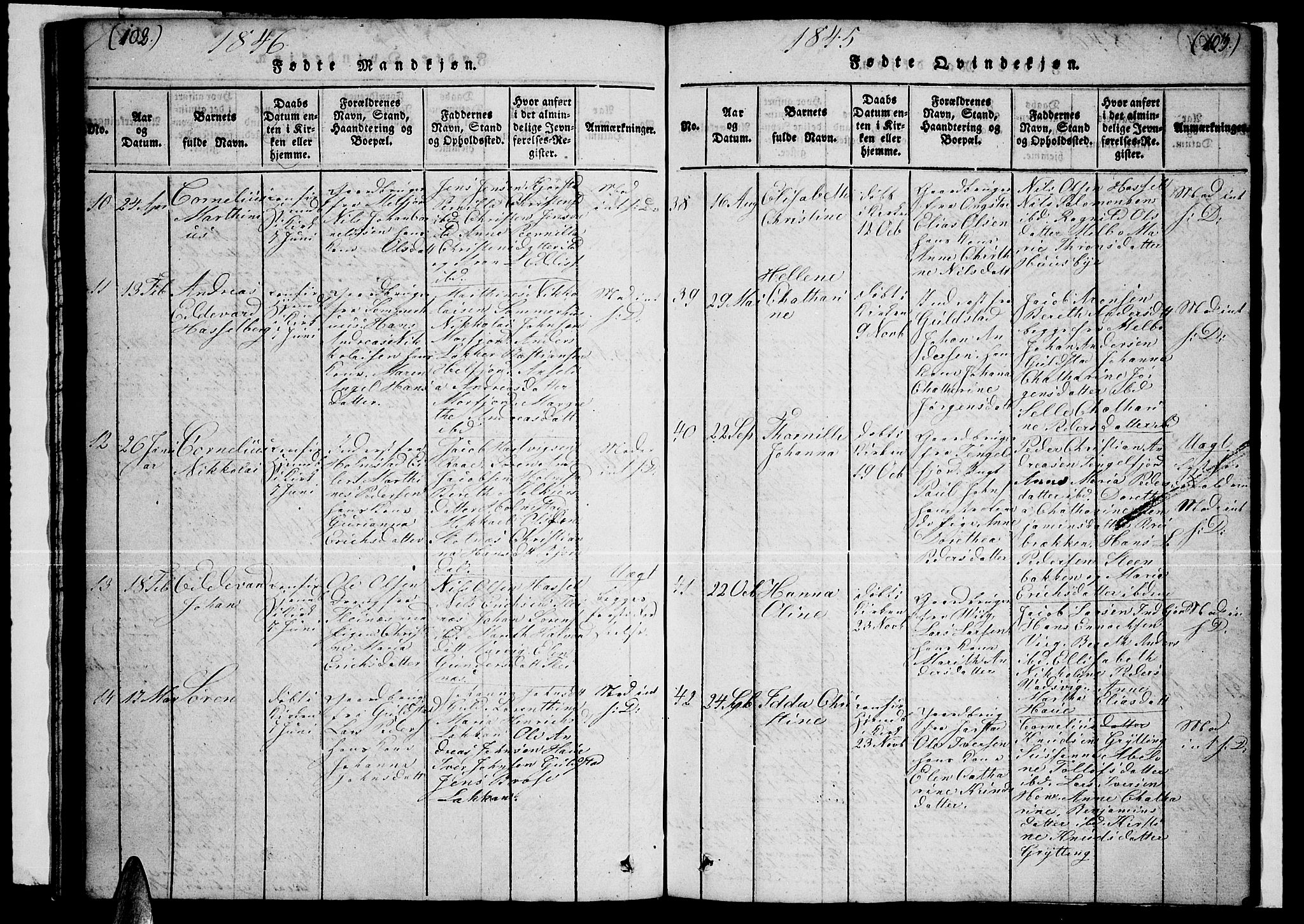 Ministerialprotokoller, klokkerbøker og fødselsregistre - Nordland, AV/SAT-A-1459/888/L1263: Parish register (copy) no. 888C02 /1, 1820-1850, p. 102-103