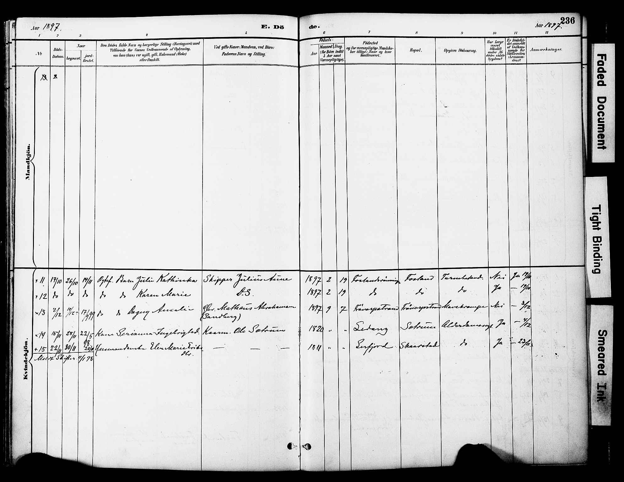 Ministerialprotokoller, klokkerbøker og fødselsregistre - Nord-Trøndelag, AV/SAT-A-1458/774/L0628: Parish register (official) no. 774A02, 1887-1903, p. 236