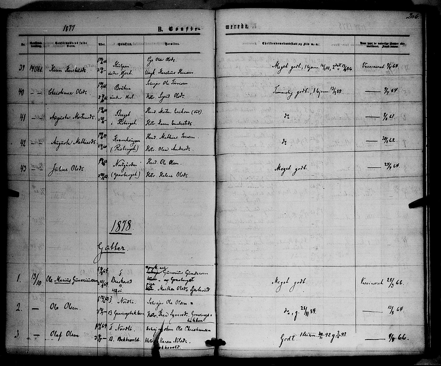 Våler prestekontor, Hedmark, AV/SAH-PREST-040/H/Ha/Haa/L0002: Parish register (official) no. 2, 1867-1878, p. 206