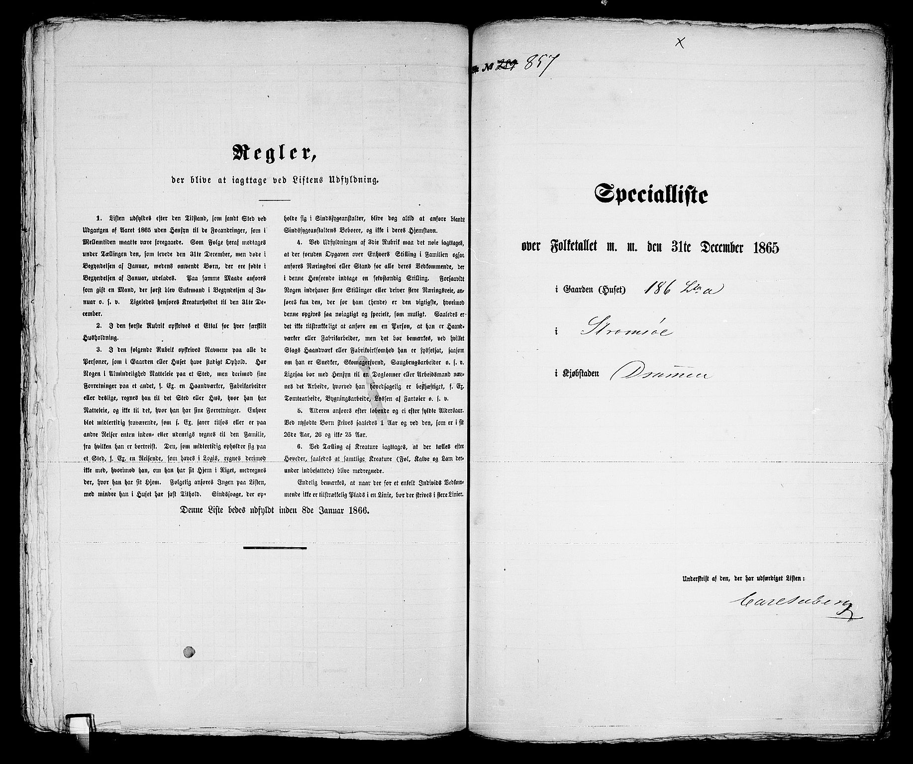 RA, 1865 census for Strømsø in Drammen, 1865, p. 529