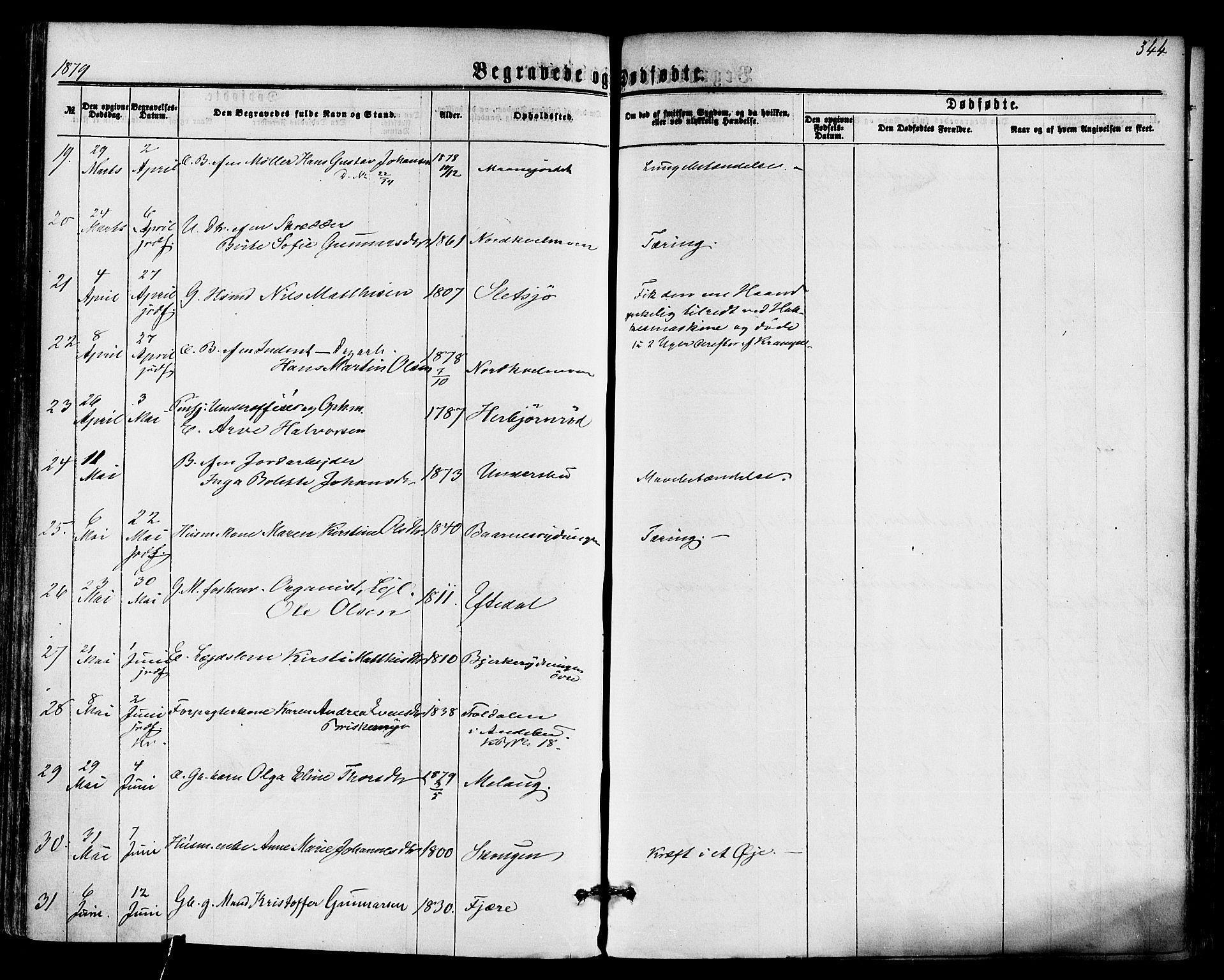 Hedrum kirkebøker, AV/SAKO-A-344/F/Fa/L0008: Parish register (official) no. I 8, 1869-1880, p. 344