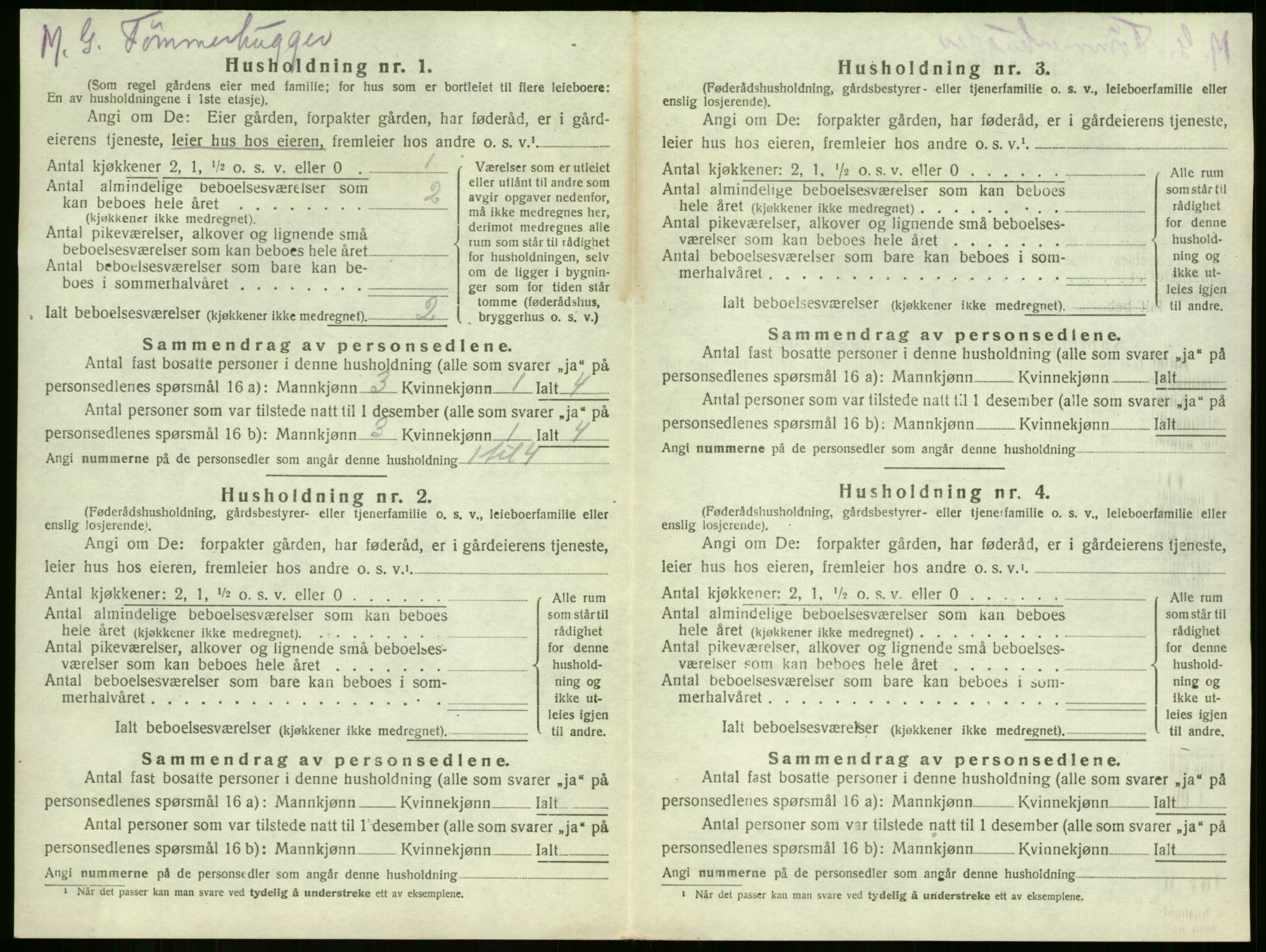 SAKO, 1920 census for Sem, 1920, p. 2071