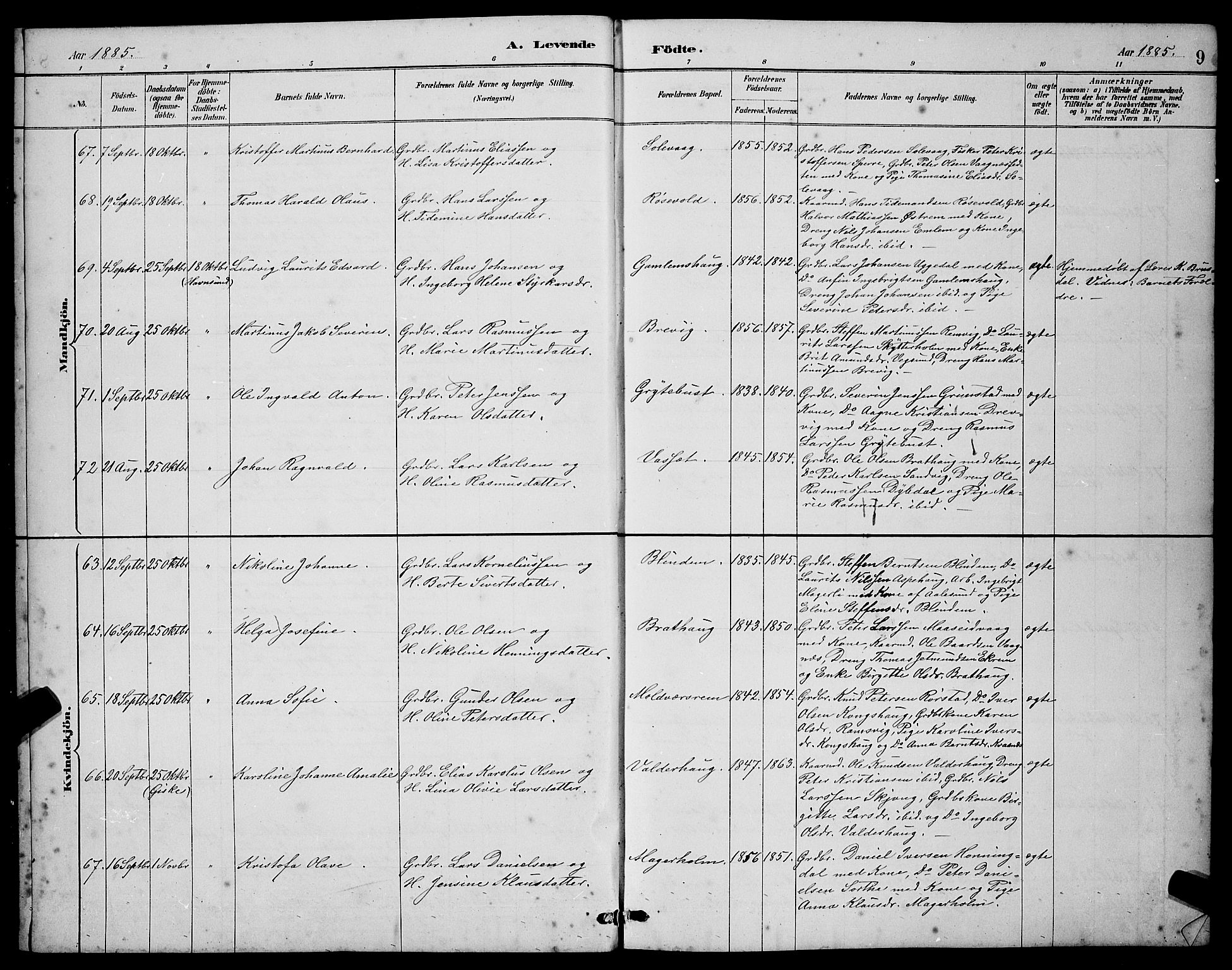 Ministerialprotokoller, klokkerbøker og fødselsregistre - Møre og Romsdal, AV/SAT-A-1454/528/L0431: Parish register (copy) no. 528C12, 1885-1898, p. 9