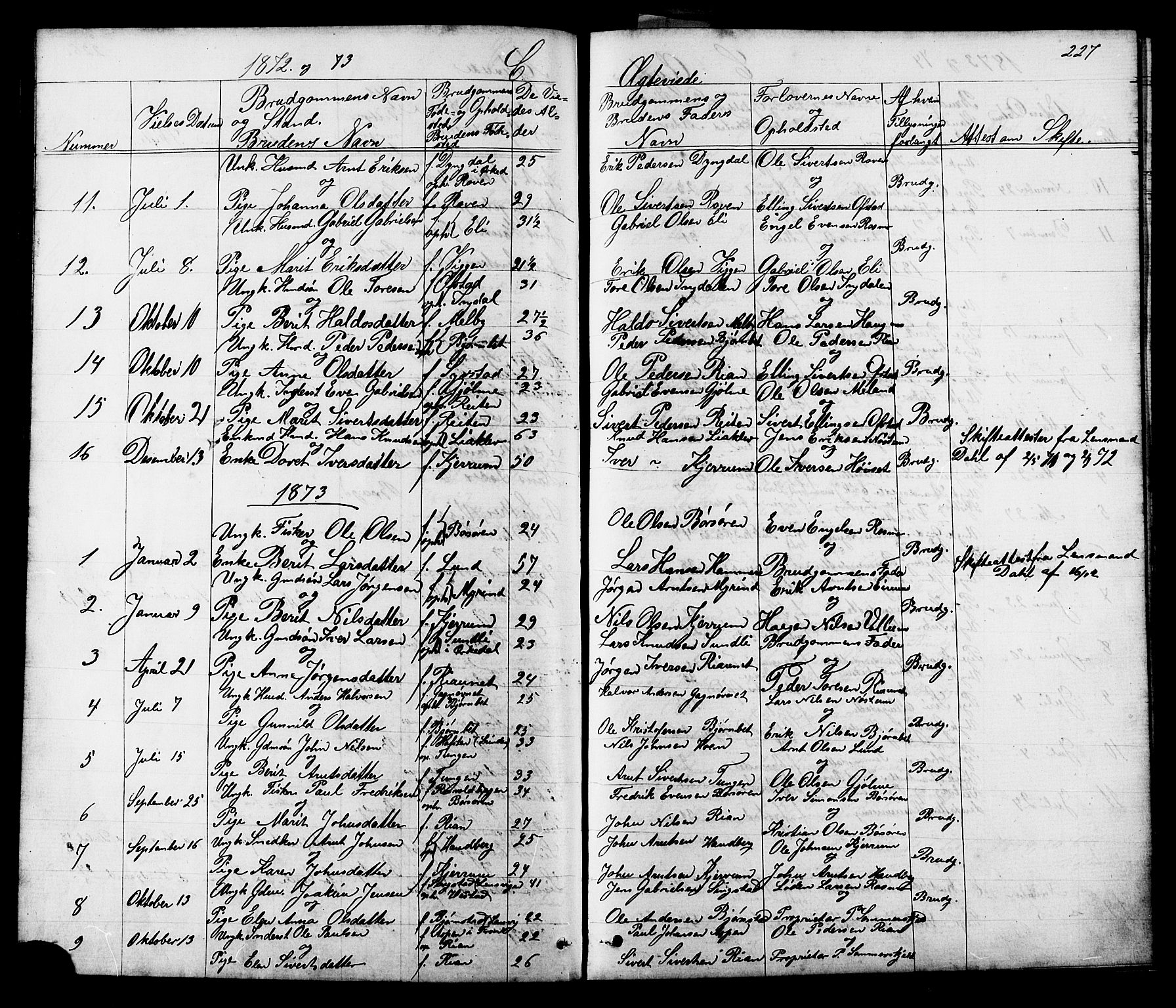 Ministerialprotokoller, klokkerbøker og fødselsregistre - Sør-Trøndelag, SAT/A-1456/665/L0777: Parish register (copy) no. 665C02, 1867-1915, p. 227