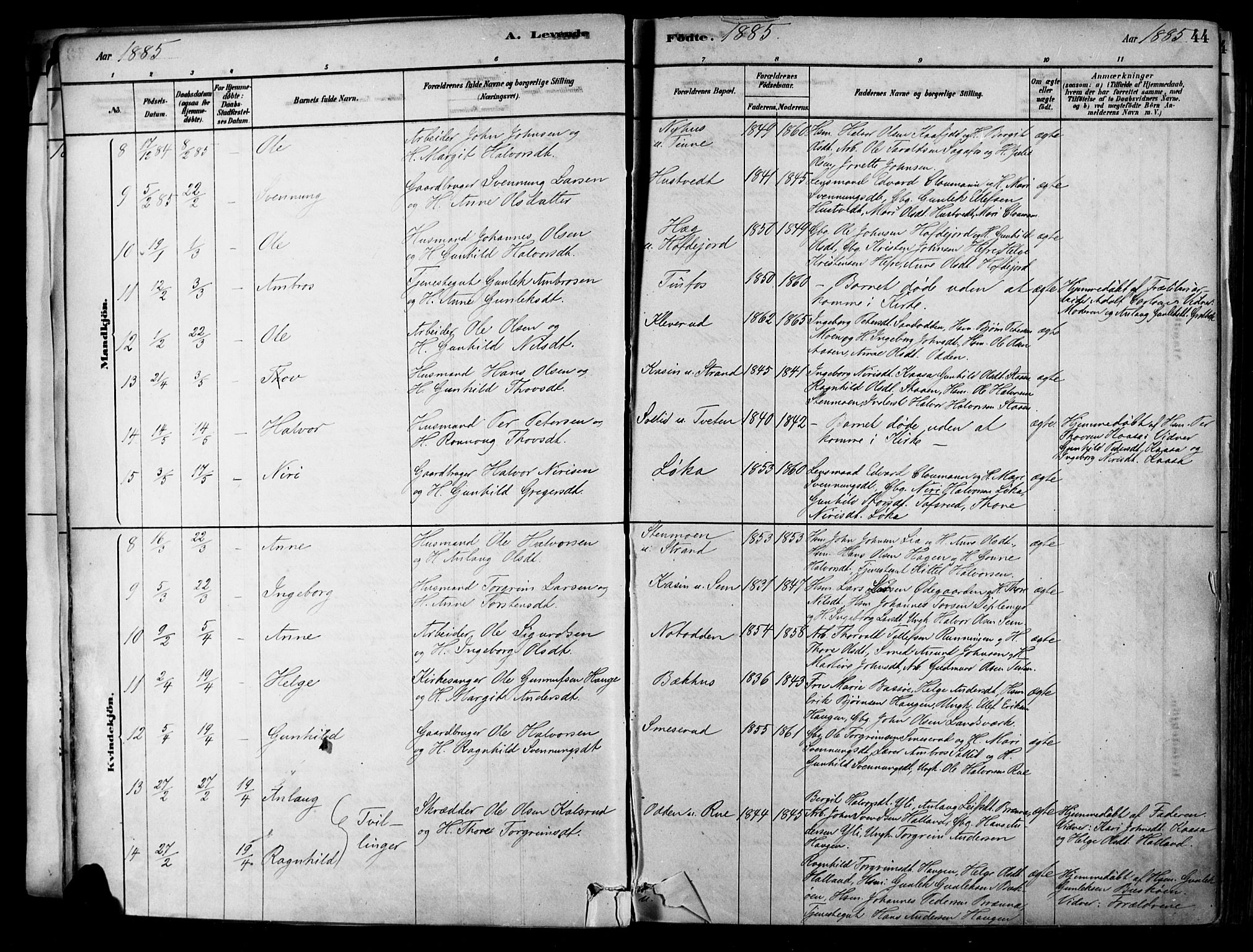 Heddal kirkebøker, SAKO/A-268/F/Fa/L0008: Parish register (official) no. I 8, 1878-1903, p. 44