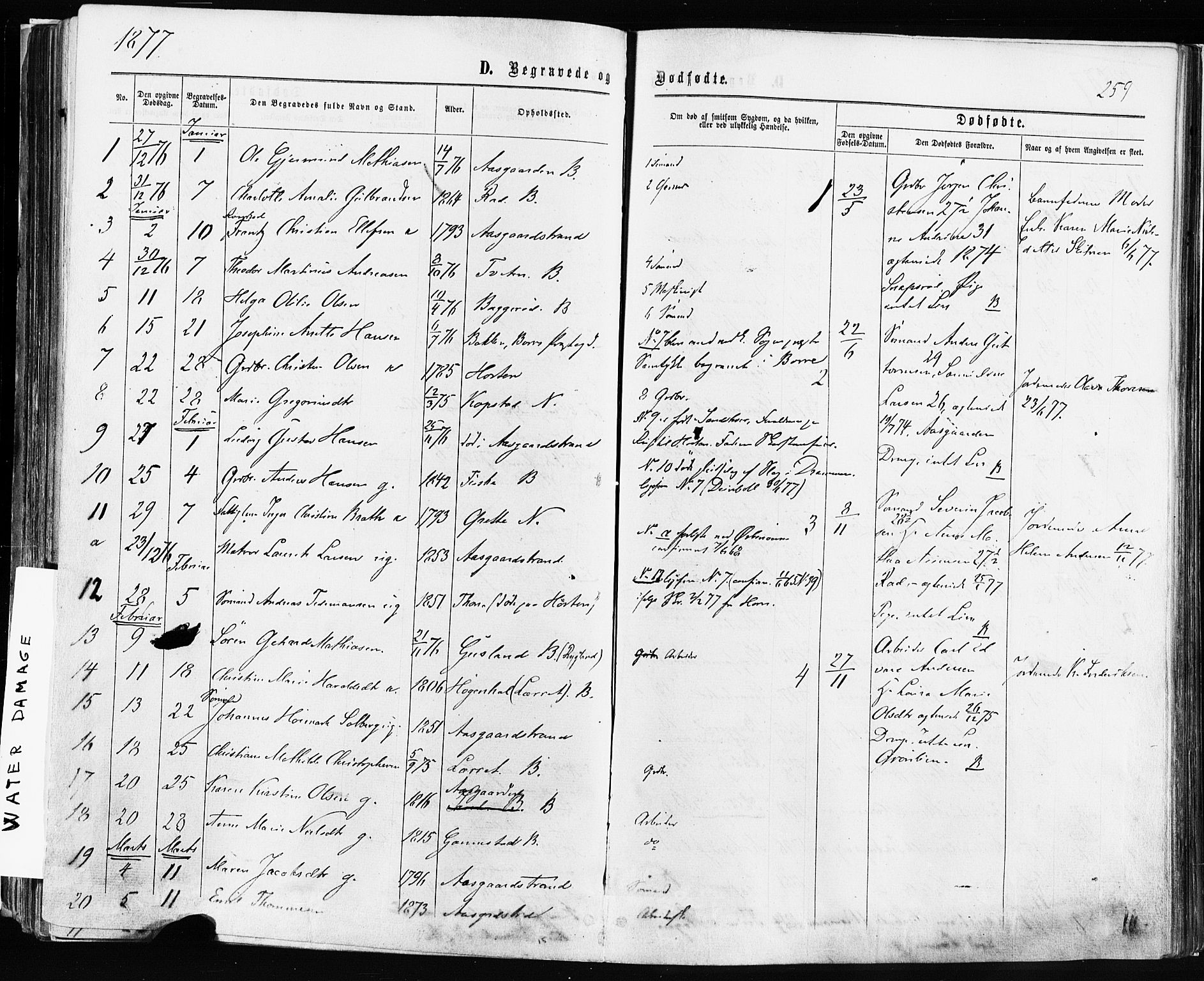 Borre kirkebøker, AV/SAKO-A-338/F/Fa/L0008: Parish register (official) no. I 8, 1868-1877, p. 259