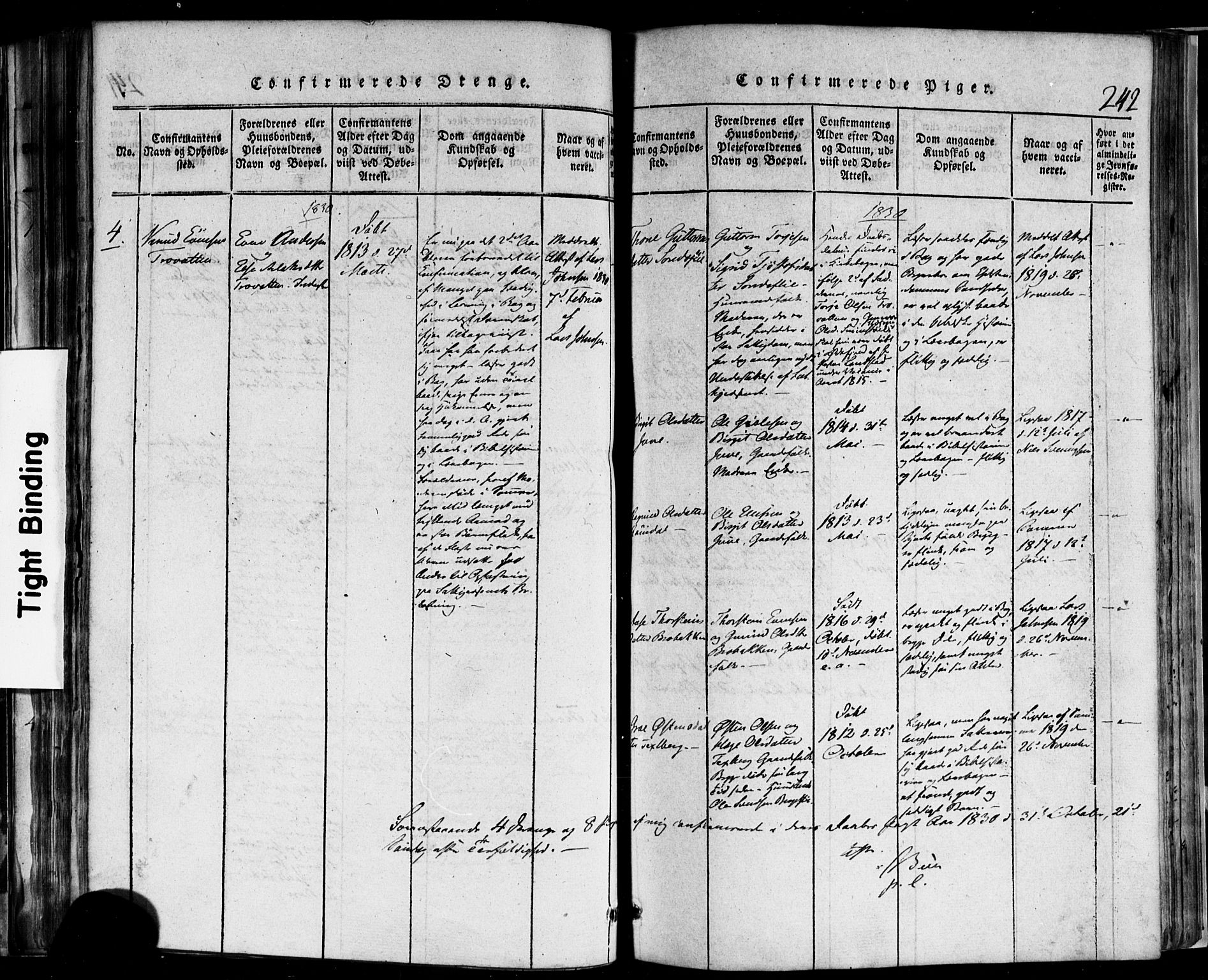 Rauland kirkebøker, AV/SAKO-A-292/F/Fa/L0002: Parish register (official) no. I 2, 1815-1860, p. 242