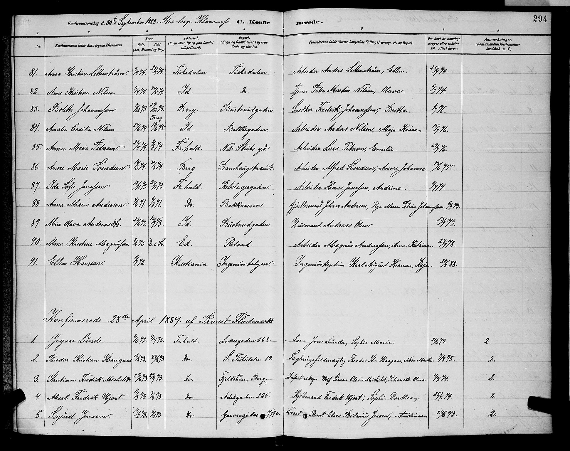 Halden prestekontor Kirkebøker, AV/SAO-A-10909/G/Ga/L0008: Parish register (copy) no. 8, 1885-1899, p. 294