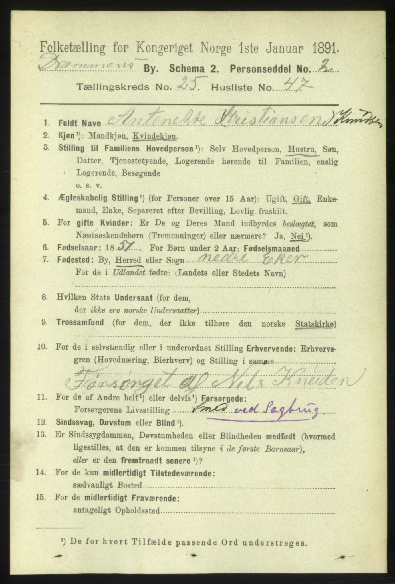 RA, 1891 census for 0602 Drammen, 1891, p. 15774