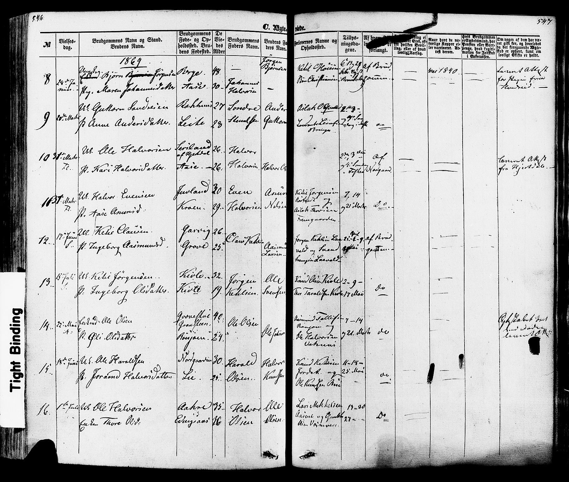 Seljord kirkebøker, SAKO/A-20/F/Fa/L0013: Parish register (official) no. I 13, 1866-1876, p. 546-547