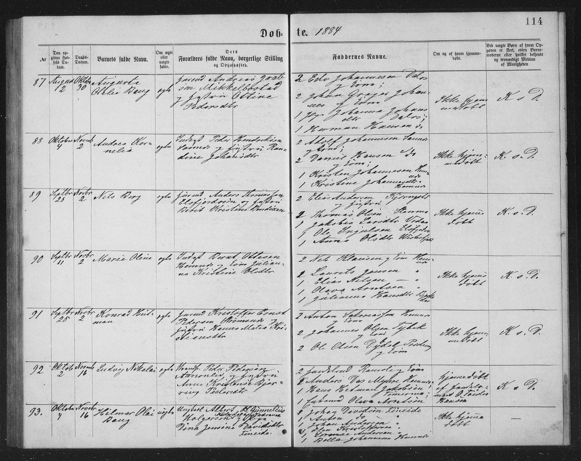 Ministerialprotokoller, klokkerbøker og fødselsregistre - Nordland, SAT/A-1459/825/L0369: Parish register (copy) no. 825C06, 1873-1885, p. 114