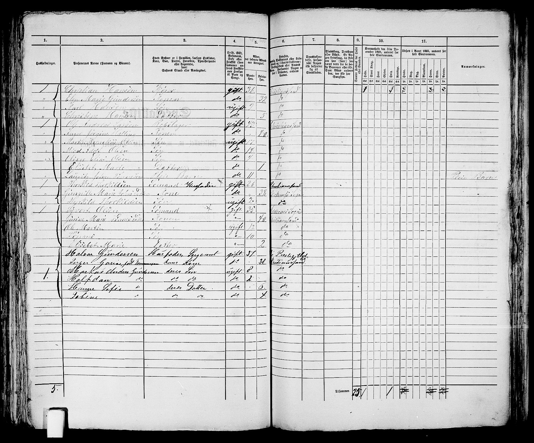 RA, 1865 census for Kristiansand, 1865, p. 1402