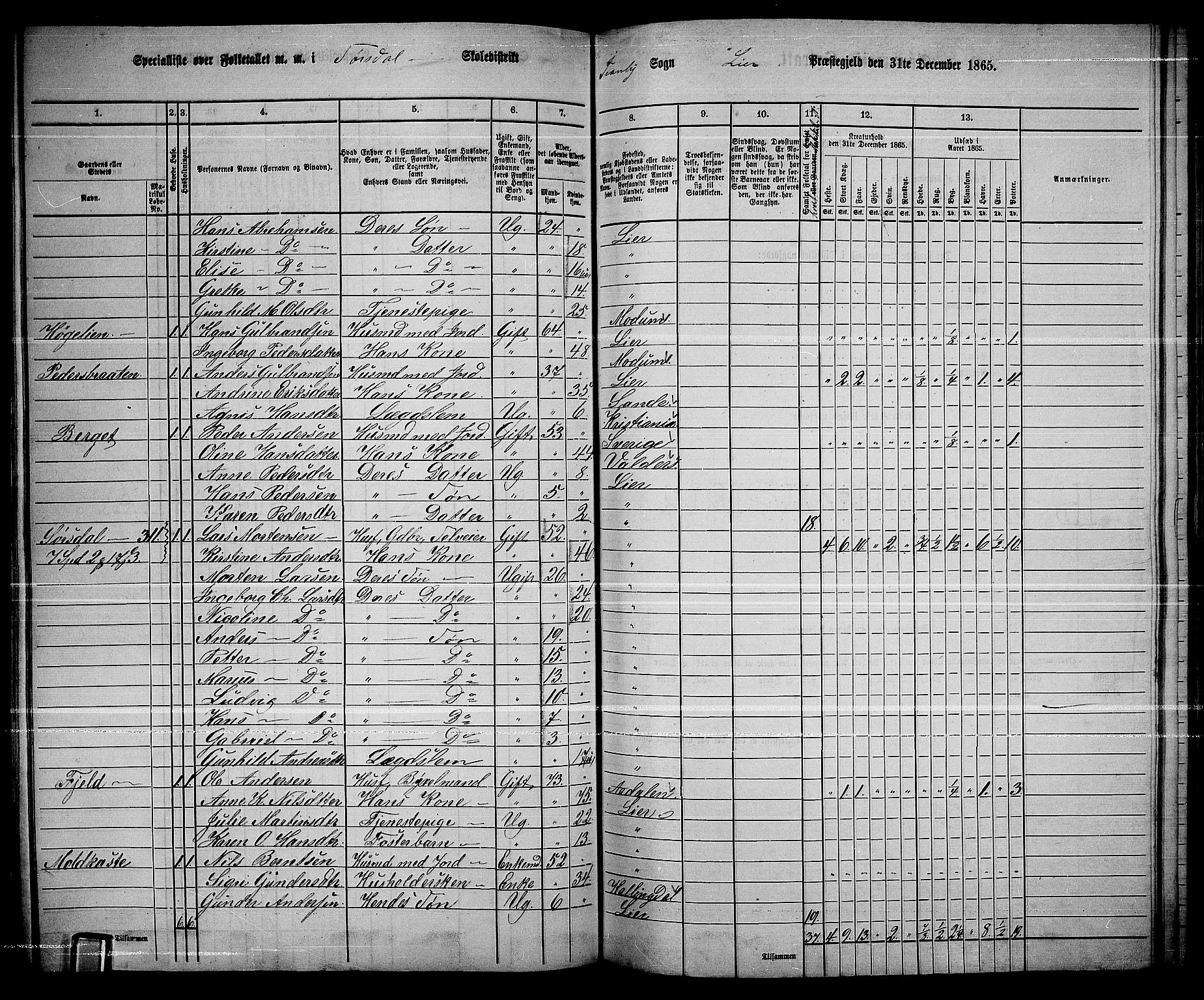 RA, 1865 census for Lier, 1865, p. 168