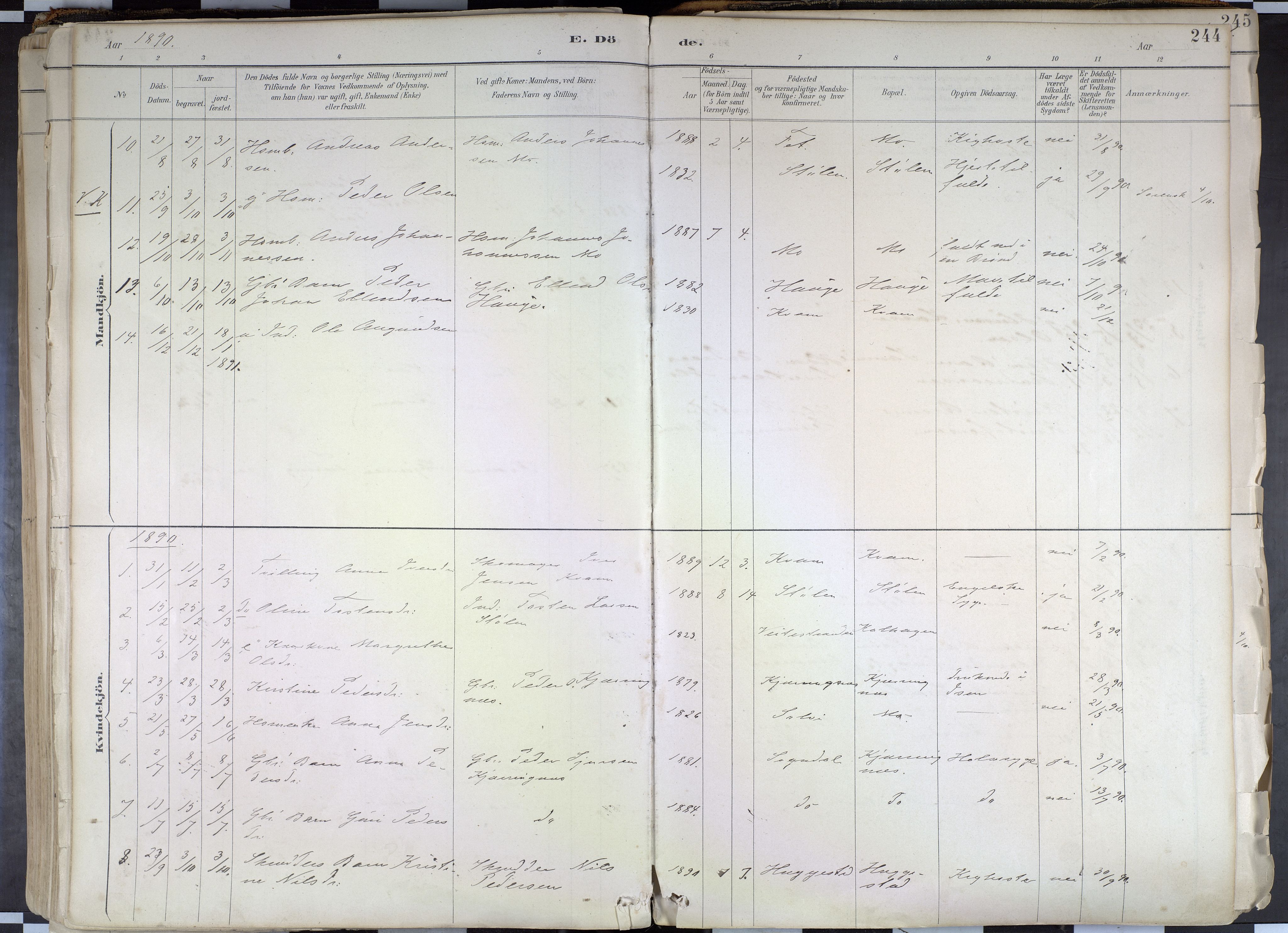 Hafslo sokneprestembete, AV/SAB-A-80301/H/Haa/Haab/L0001: Parish register (official) no. B 1, 1886-1945, p. 244