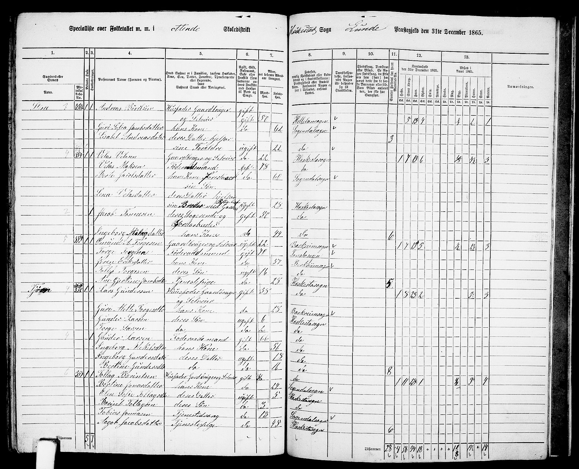 RA, 1865 census for Lund, 1865, p. 101