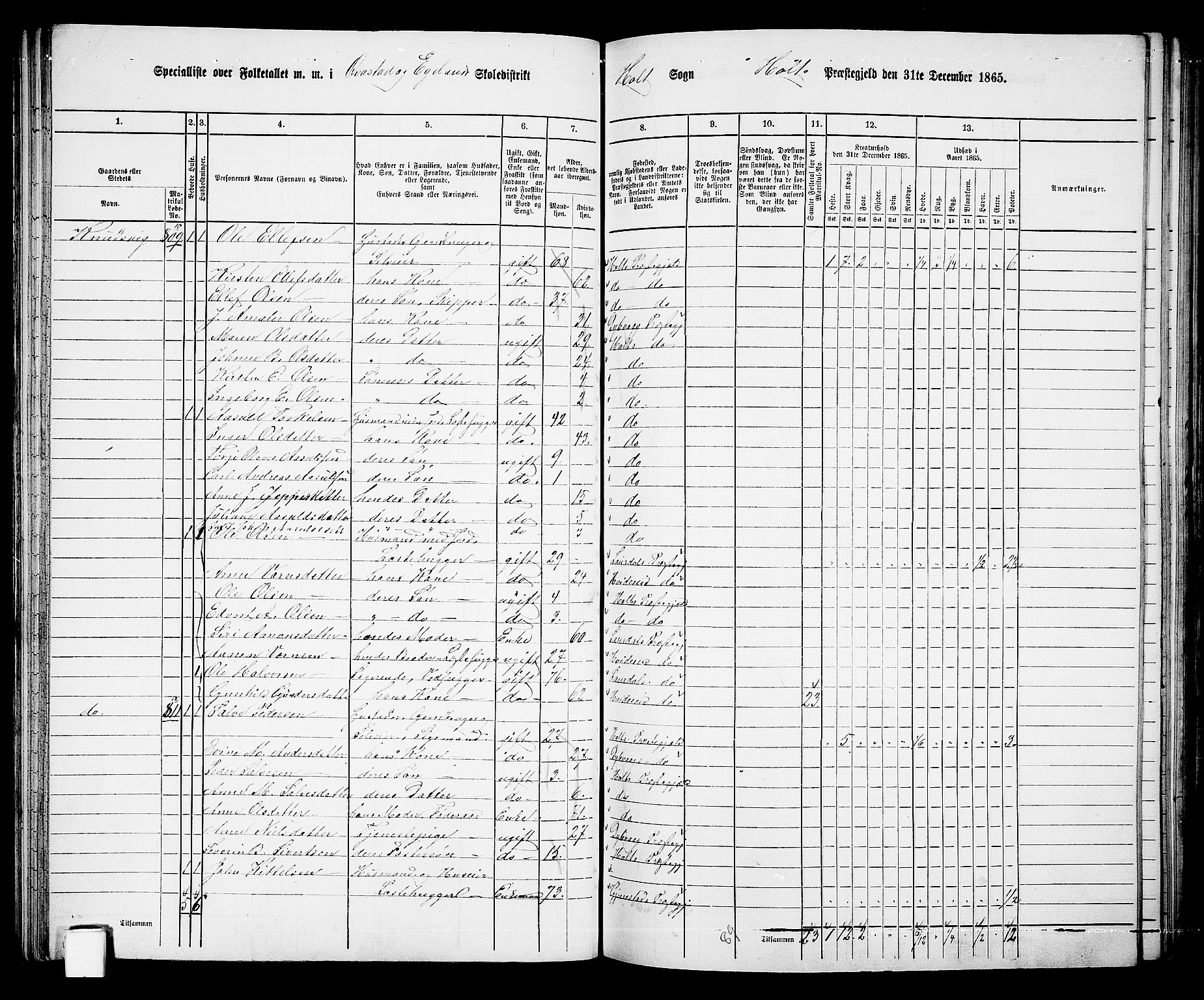 RA, 1865 census for Holt/Holt, 1865, p. 54