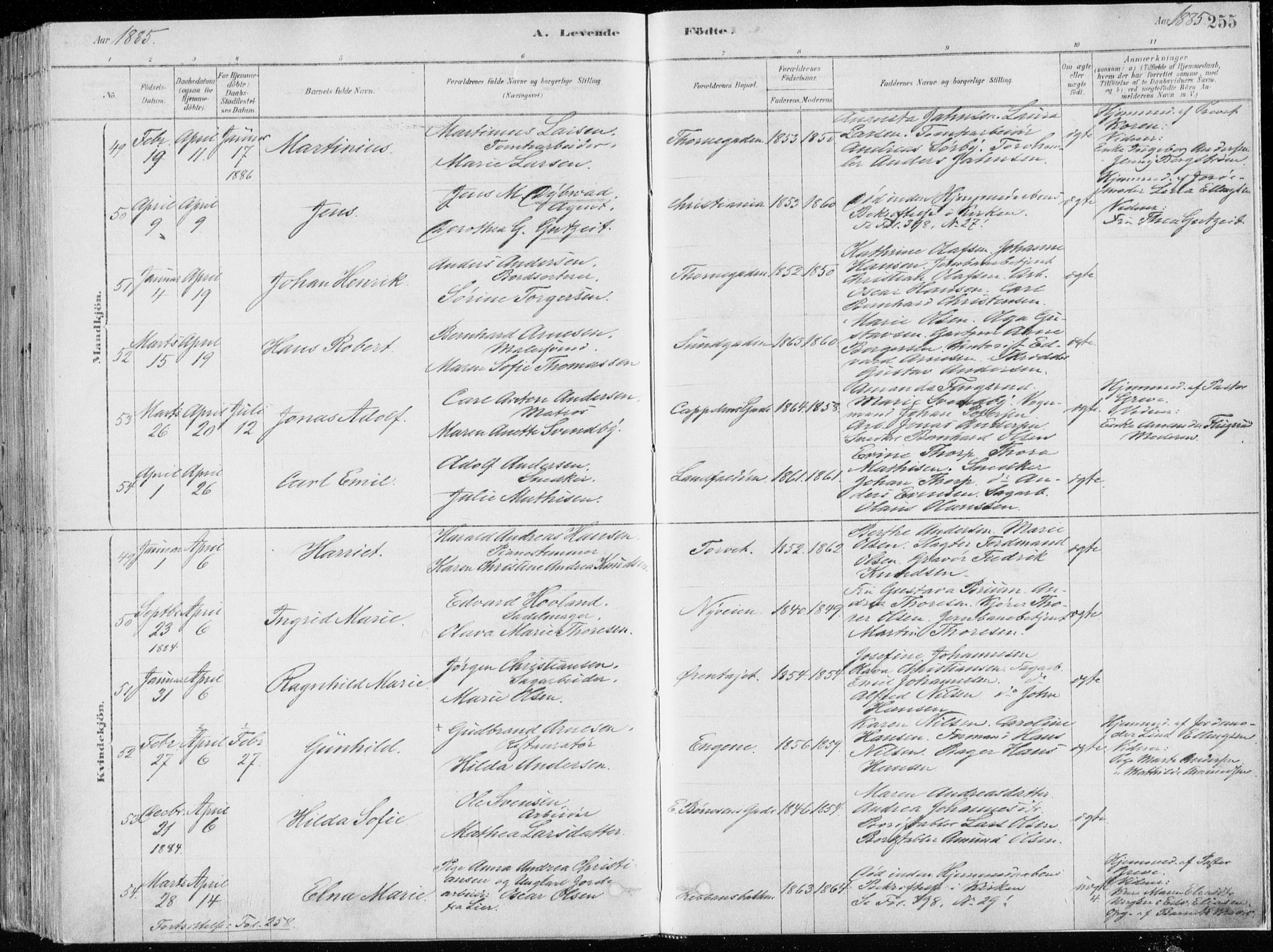 Bragernes kirkebøker, SAKO/A-6/F/Fb/L0006a: Parish register (official) no. II 6A, 1878-1885, p. 255