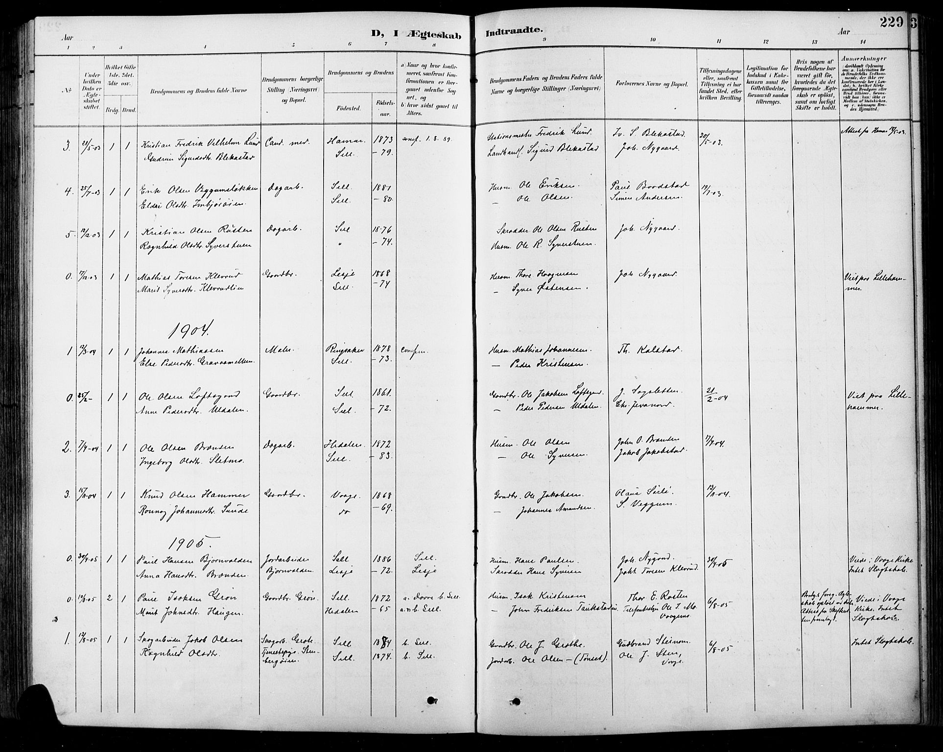 Sel prestekontor, SAH/PREST-074/H/Ha/Hab/L0001: Parish register (copy) no. 1, 1894-1923, p. 229