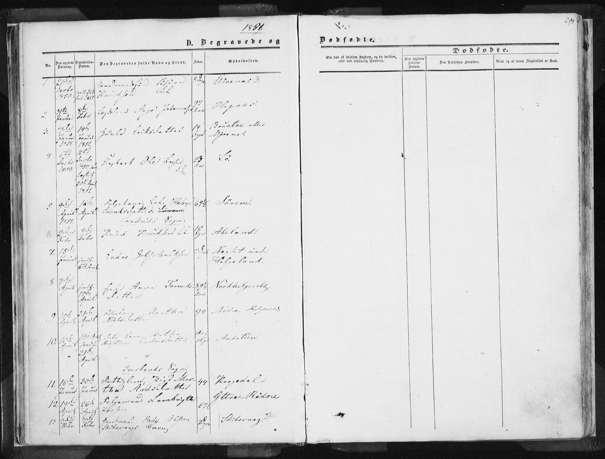 Vikedal sokneprestkontor, SAST/A-101840/01/IV: Parish register (official) no. A 6.2, 1851-1867, p. 294