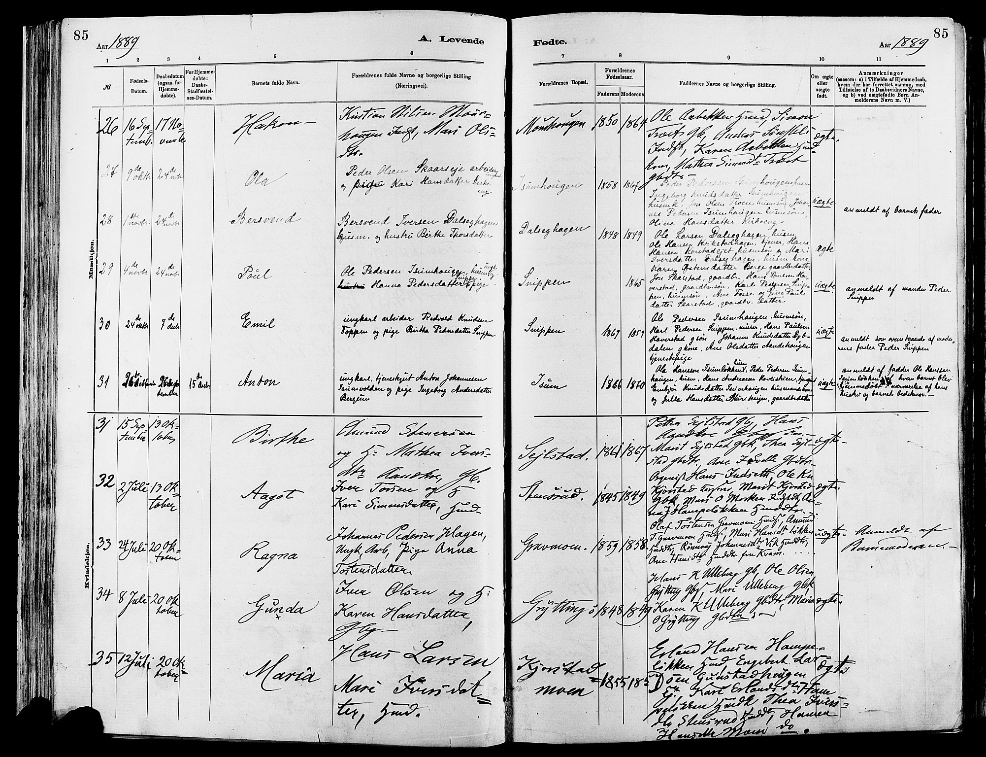 Sør-Fron prestekontor, AV/SAH-PREST-010/H/Ha/Haa/L0003: Parish register (official) no. 3, 1881-1897, p. 85