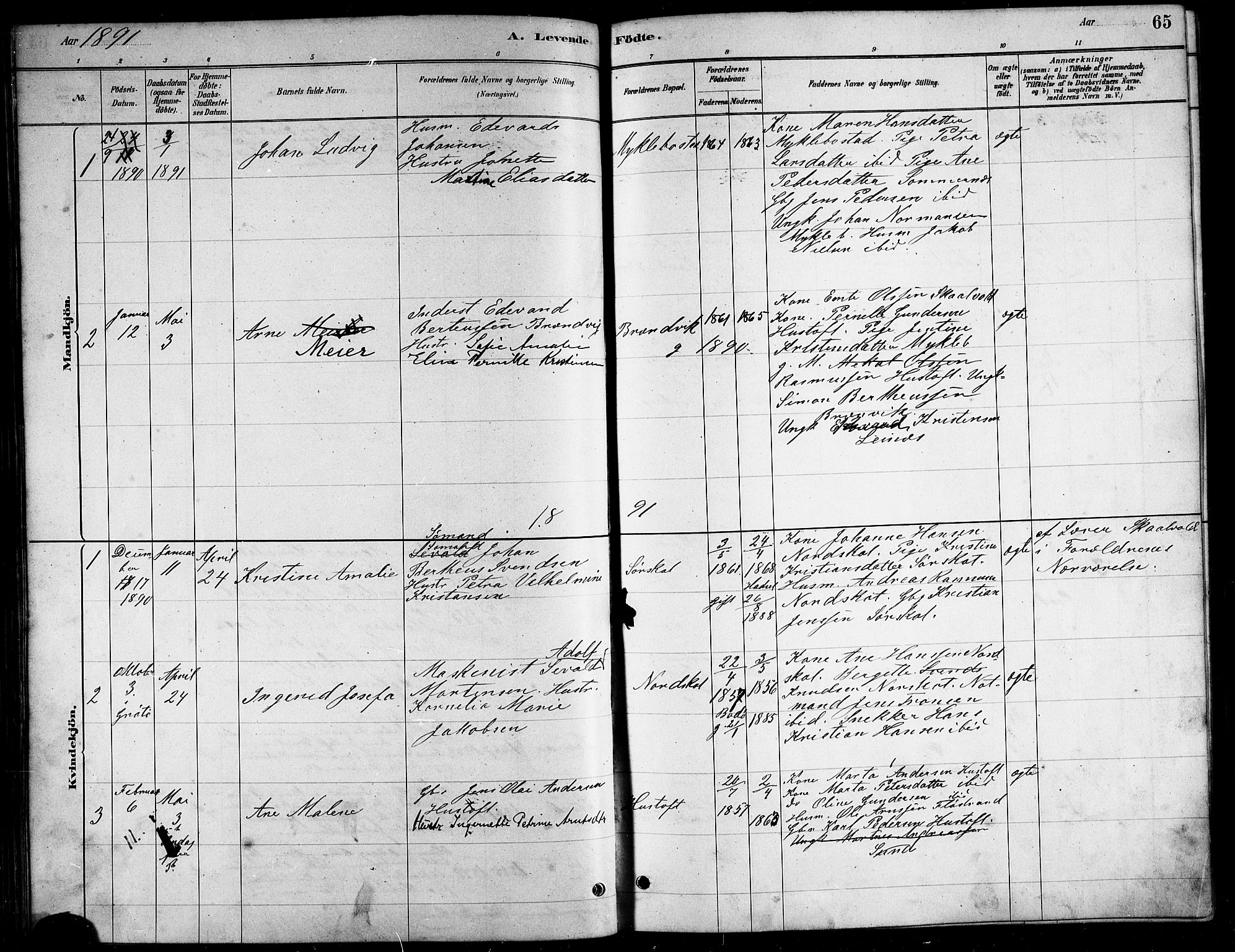 Ministerialprotokoller, klokkerbøker og fødselsregistre - Nordland, AV/SAT-A-1459/857/L0828: Parish register (copy) no. 857C03, 1879-1908, p. 65