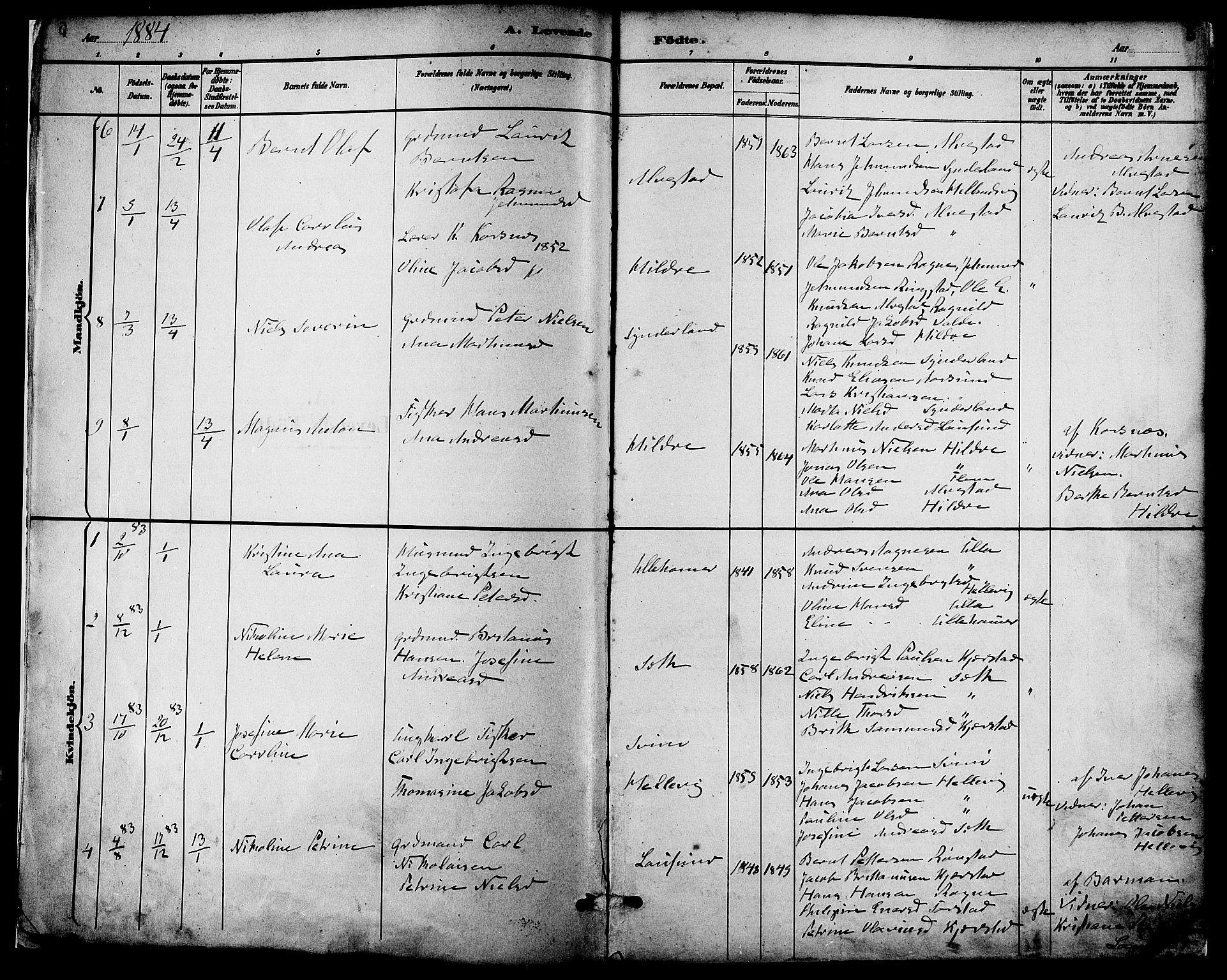 Ministerialprotokoller, klokkerbøker og fødselsregistre - Møre og Romsdal, AV/SAT-A-1454/536/L0501: Parish register (official) no. 536A10, 1884-1896, p. 5