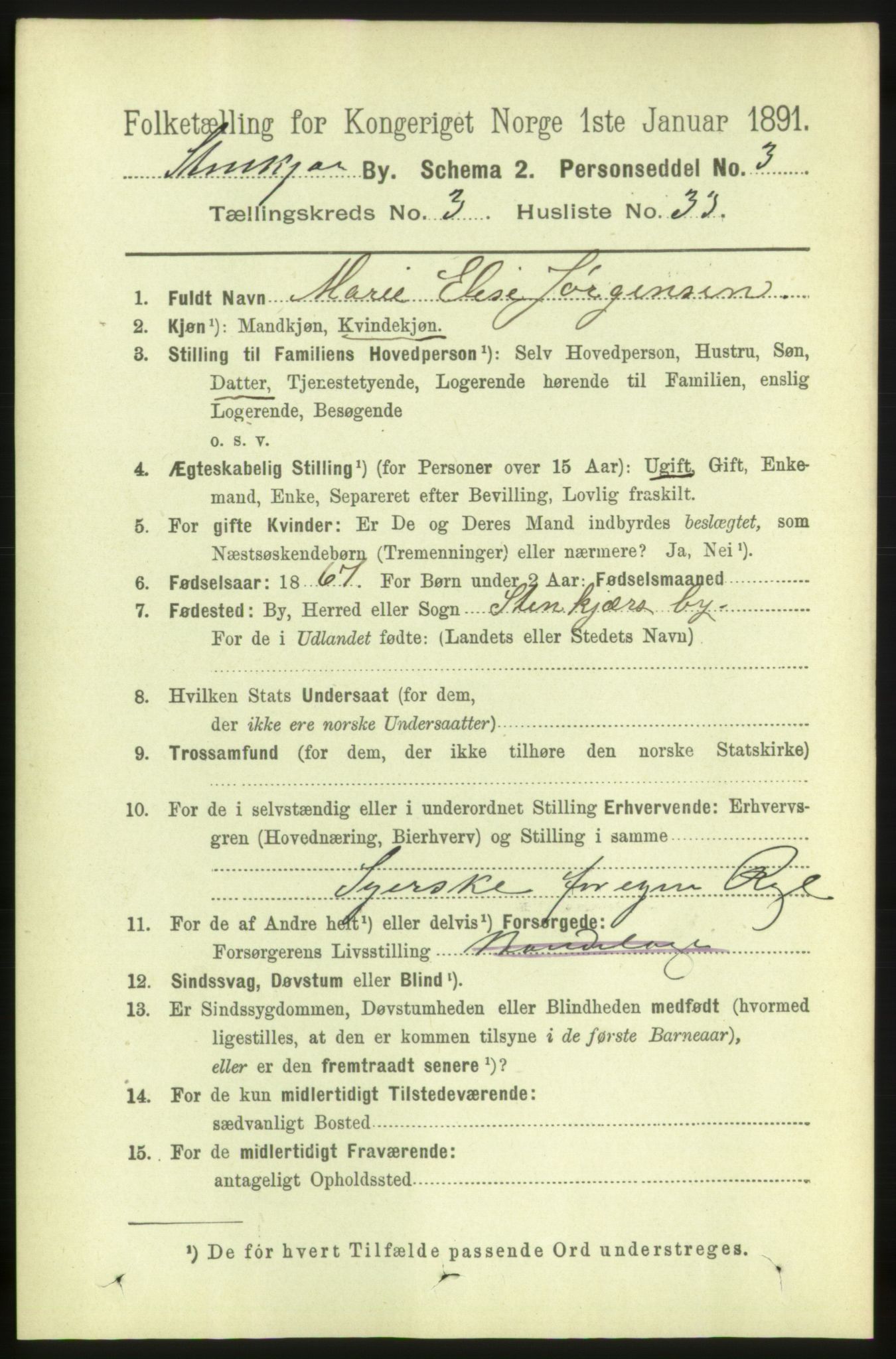 RA, 1891 census for 1702 Steinkjer, 1891, p. 1135