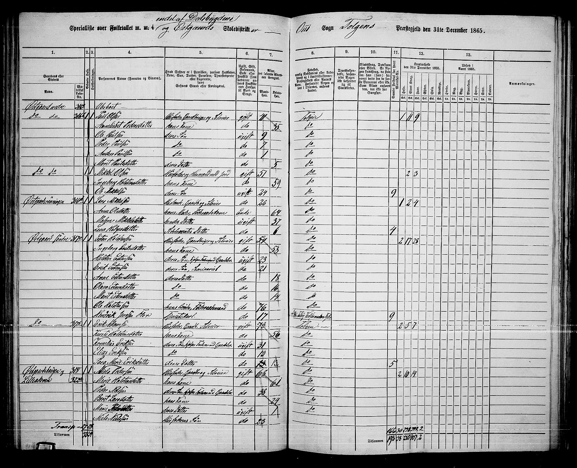 RA, 1865 census for Tolga, 1865, p. 113