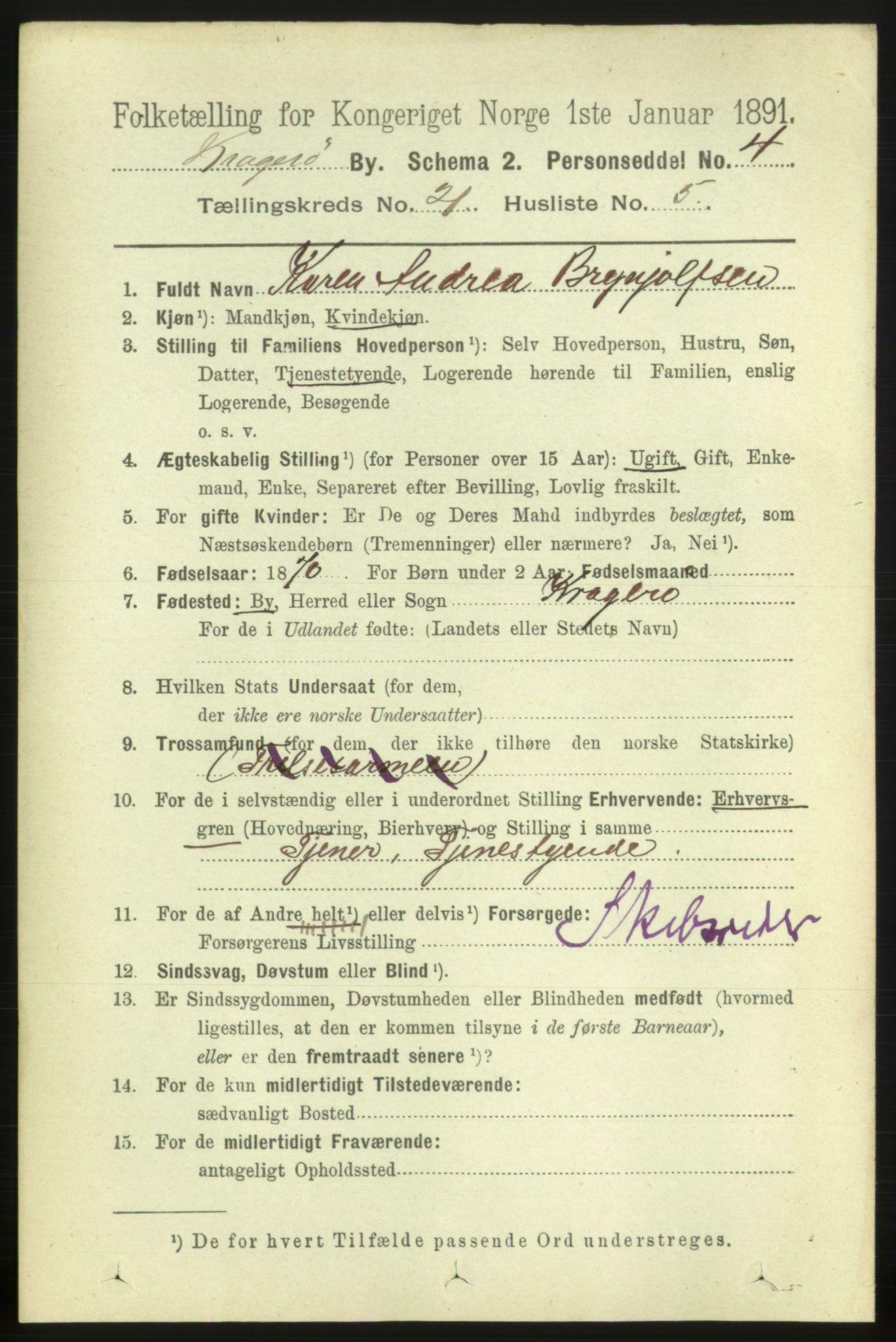 RA, 1891 census for 0801 Kragerø, 1891, p. 4736