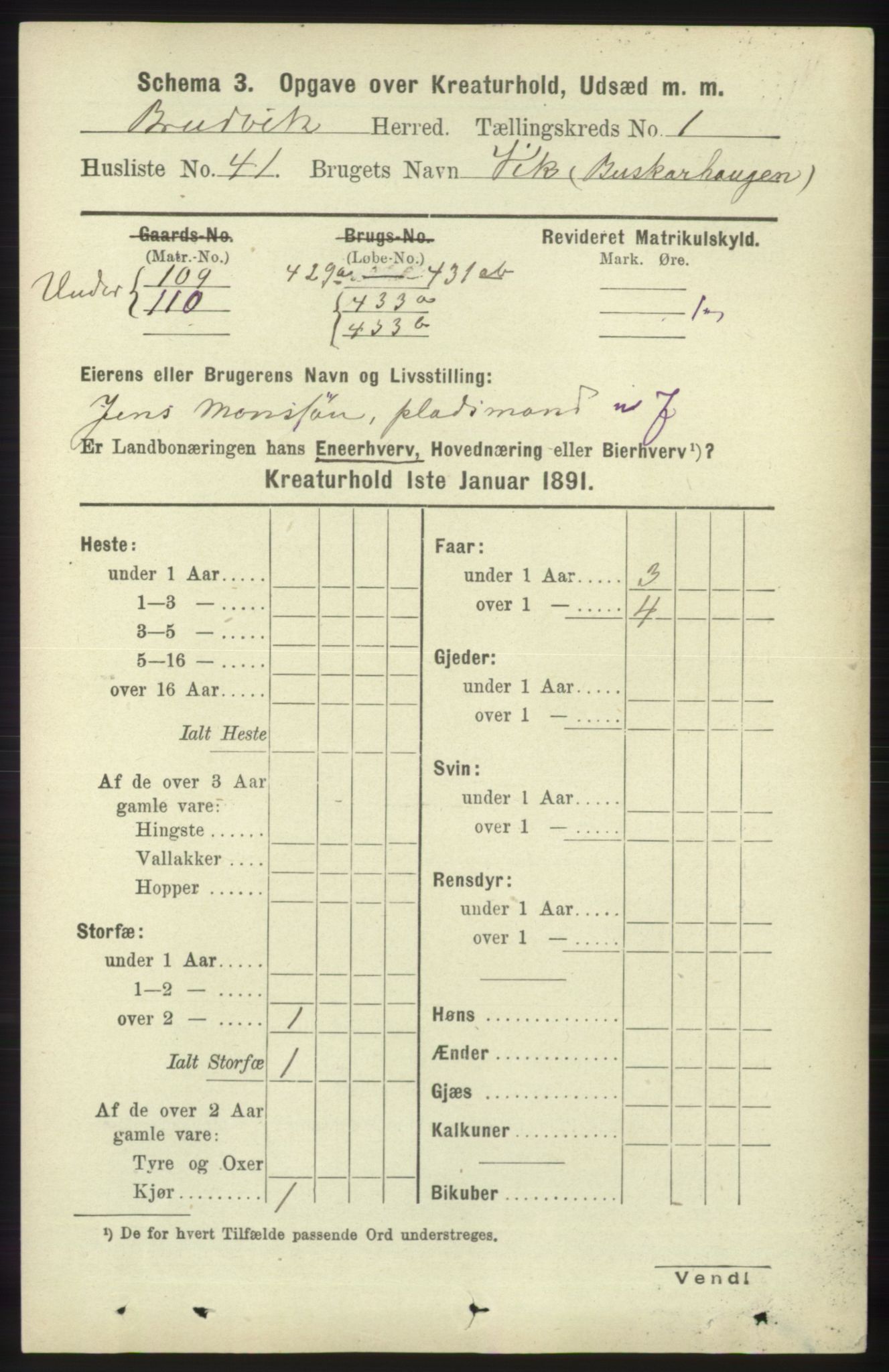 RA, 1891 census for 1251 Bruvik, 1891, p. 4229