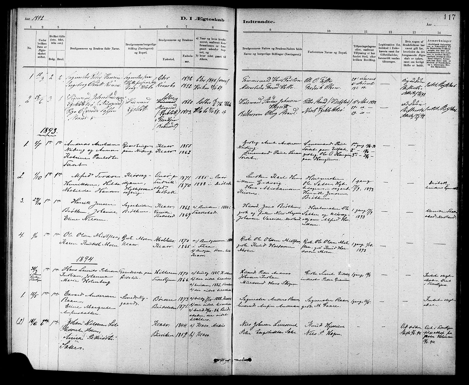 Ministerialprotokoller, klokkerbøker og fødselsregistre - Sør-Trøndelag, SAT/A-1456/618/L0452: Parish register (copy) no. 618C03, 1884-1906, p. 117