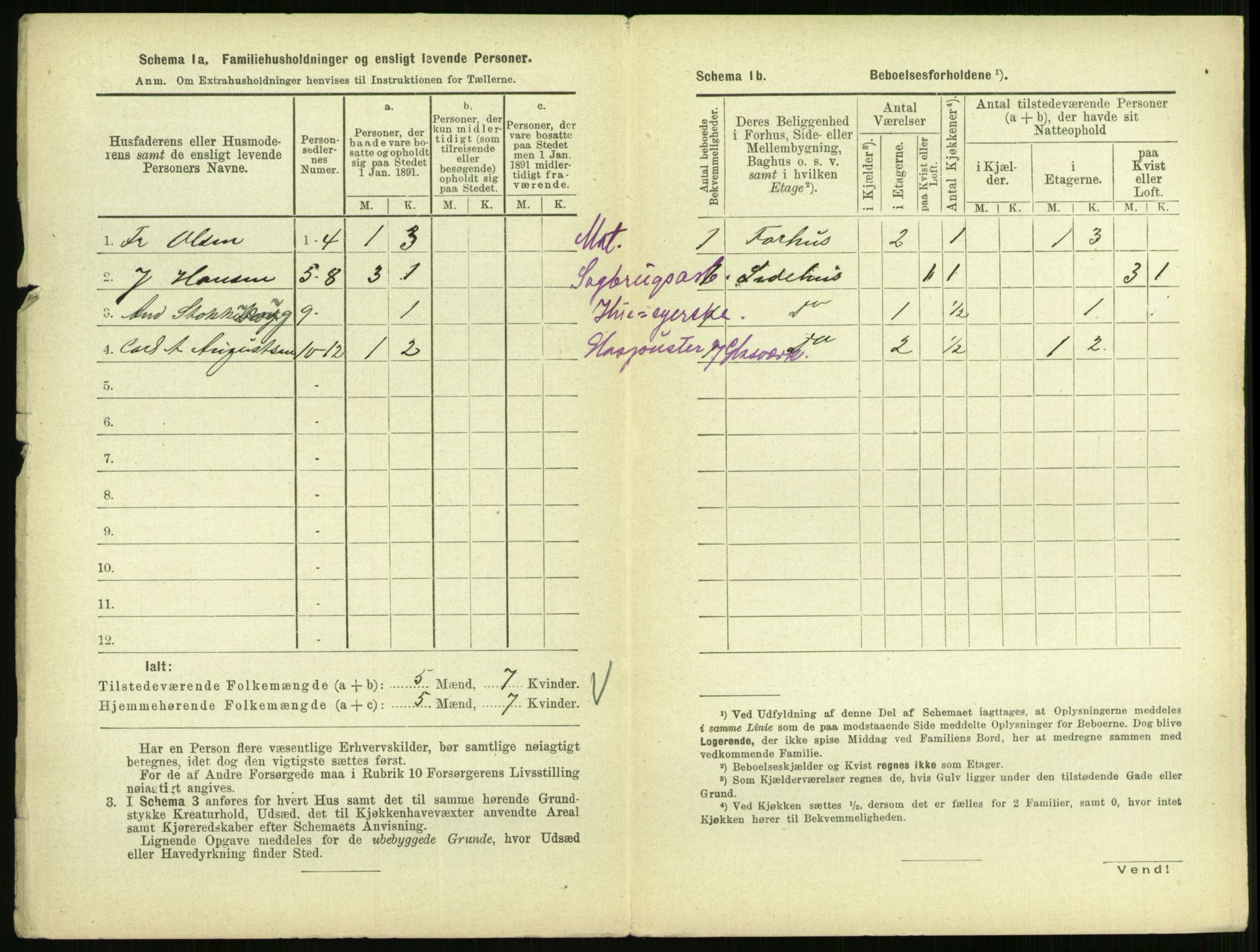 RA, 1891 census for 0707 Larvik, 1891, p. 530