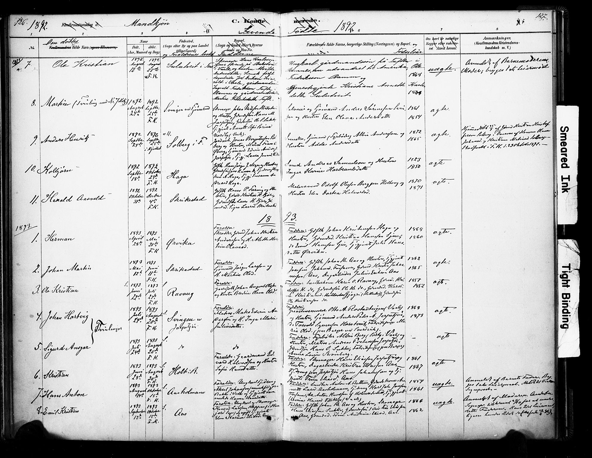 Ramnes kirkebøker, AV/SAKO-A-314/F/Fb/L0001: Parish register (official) no. II 1, 1878-1894, p. 126-127