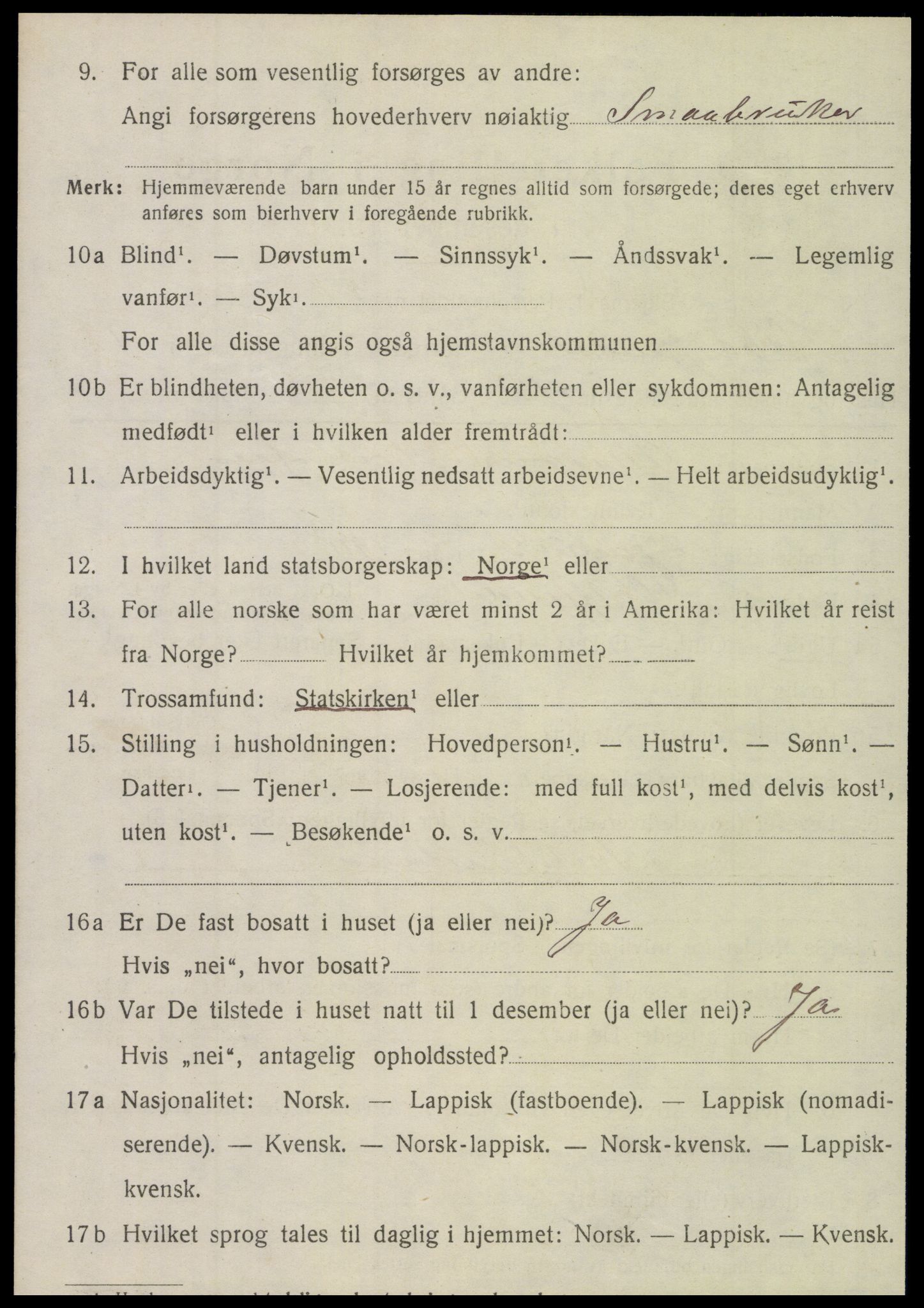 SAT, 1920 census for Hattfjelldal, 1920, p. 545