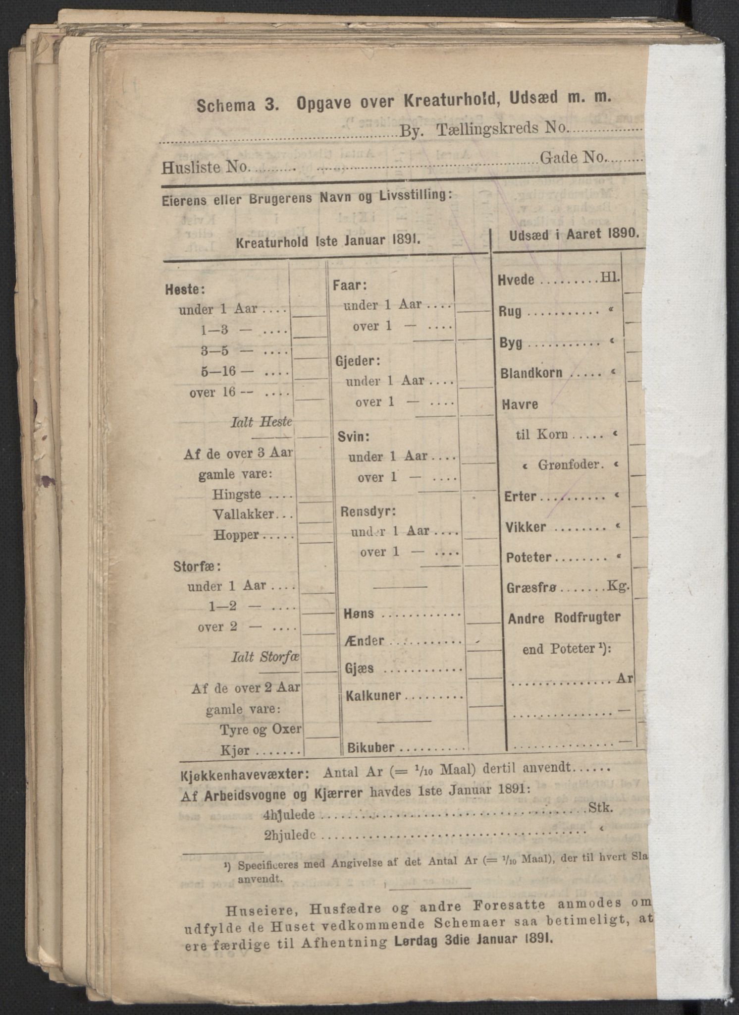 RA, 1891 Census for 1301 Bergen, 1891, p. 5970