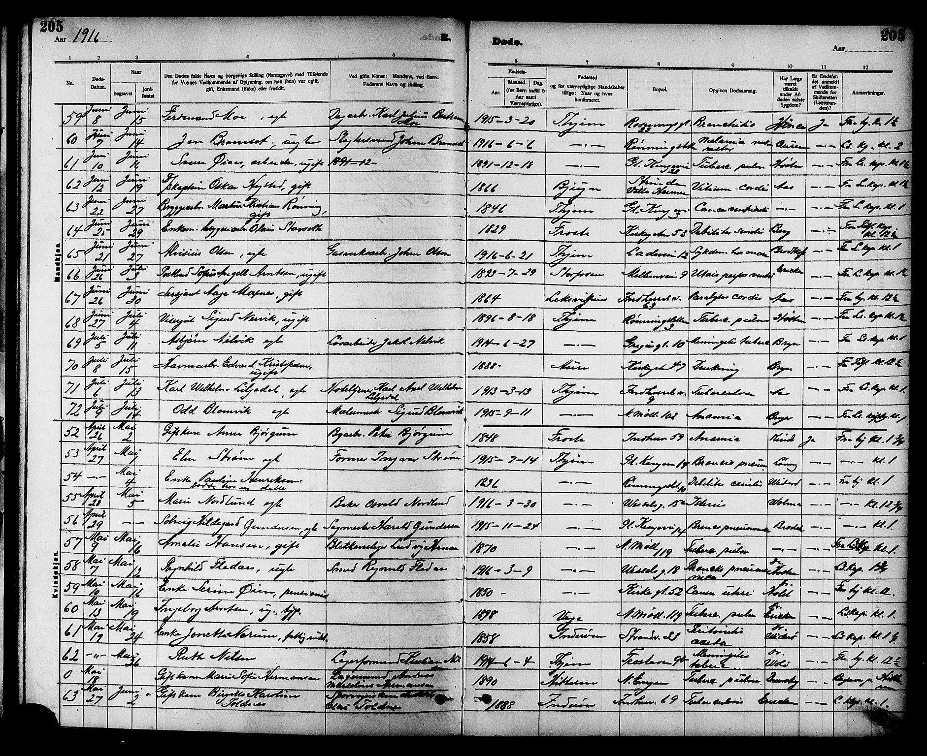 Ministerialprotokoller, klokkerbøker og fødselsregistre - Sør-Trøndelag, SAT/A-1456/605/L0255: Parish register (copy) no. 605C02, 1908-1918, p. 205