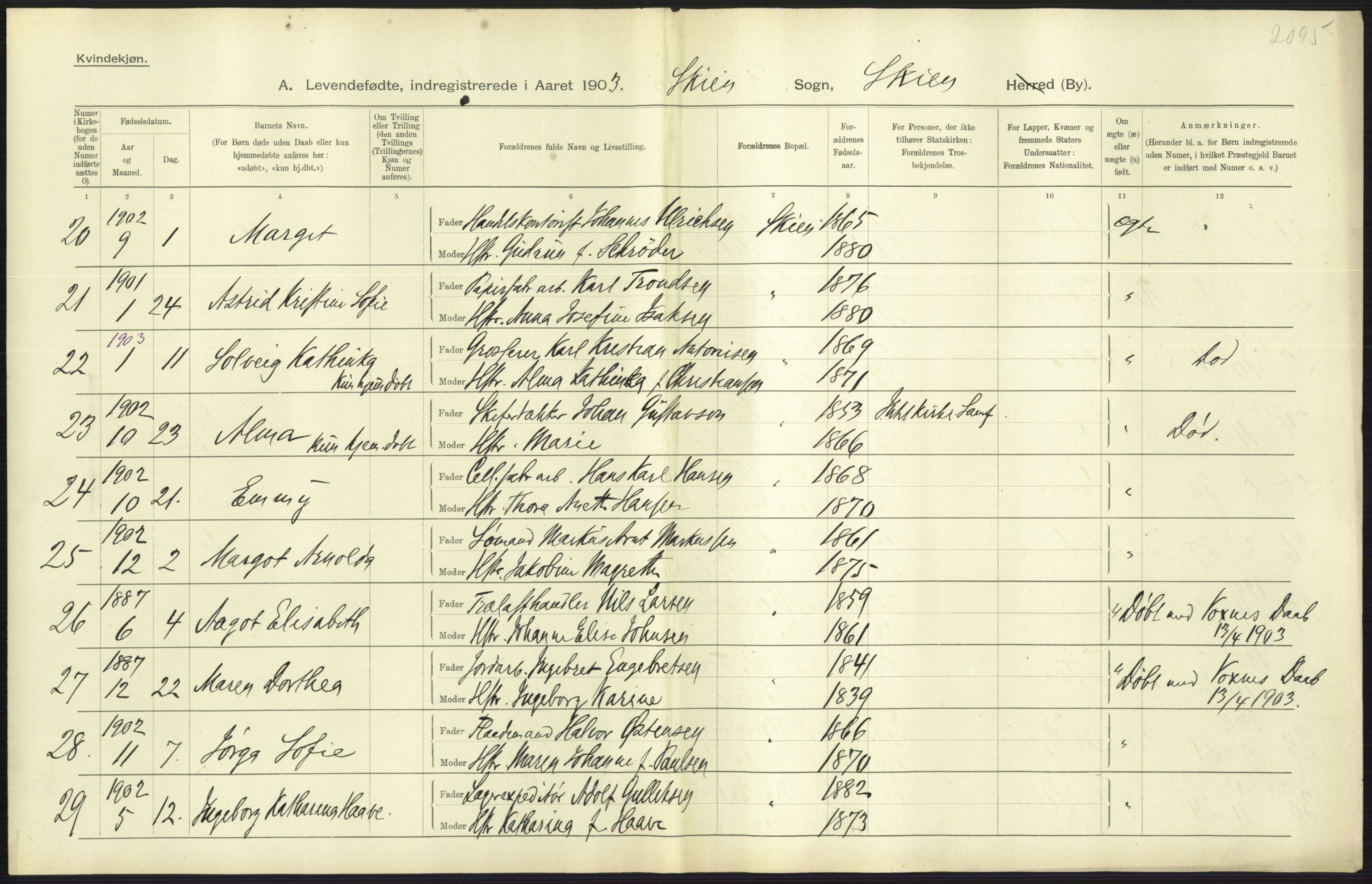 Statistisk sentralbyrå, Sosiodemografiske emner, Befolkning, AV/RA-S-2228/D/Df/Dfa/Dfaa/L0009: Bratsberg amt: Fødte, gifte, døde, 1903, p. 307