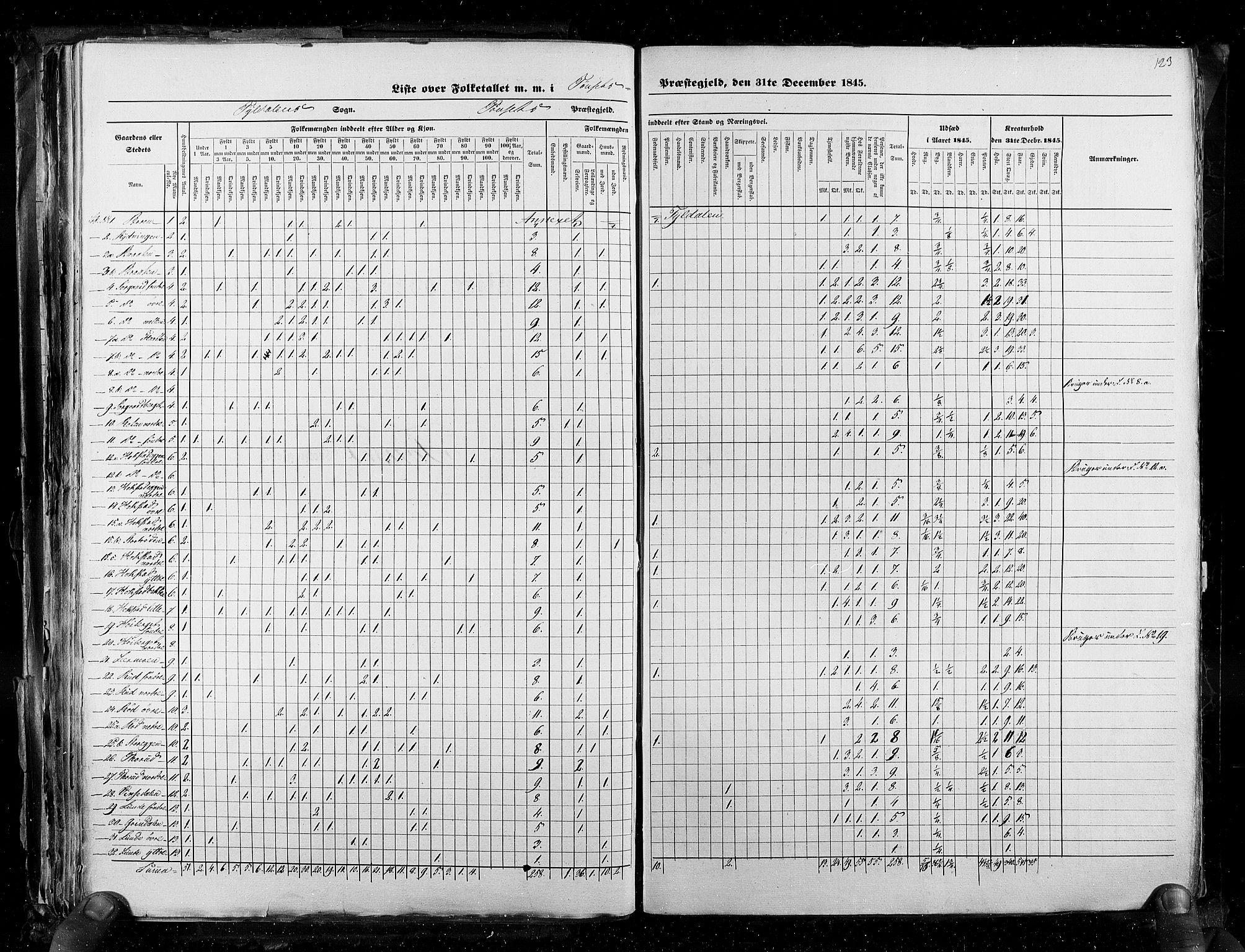 RA, Census 1845, vol. 3: Hedemarken amt og Kristians amt, 1845, p. 123