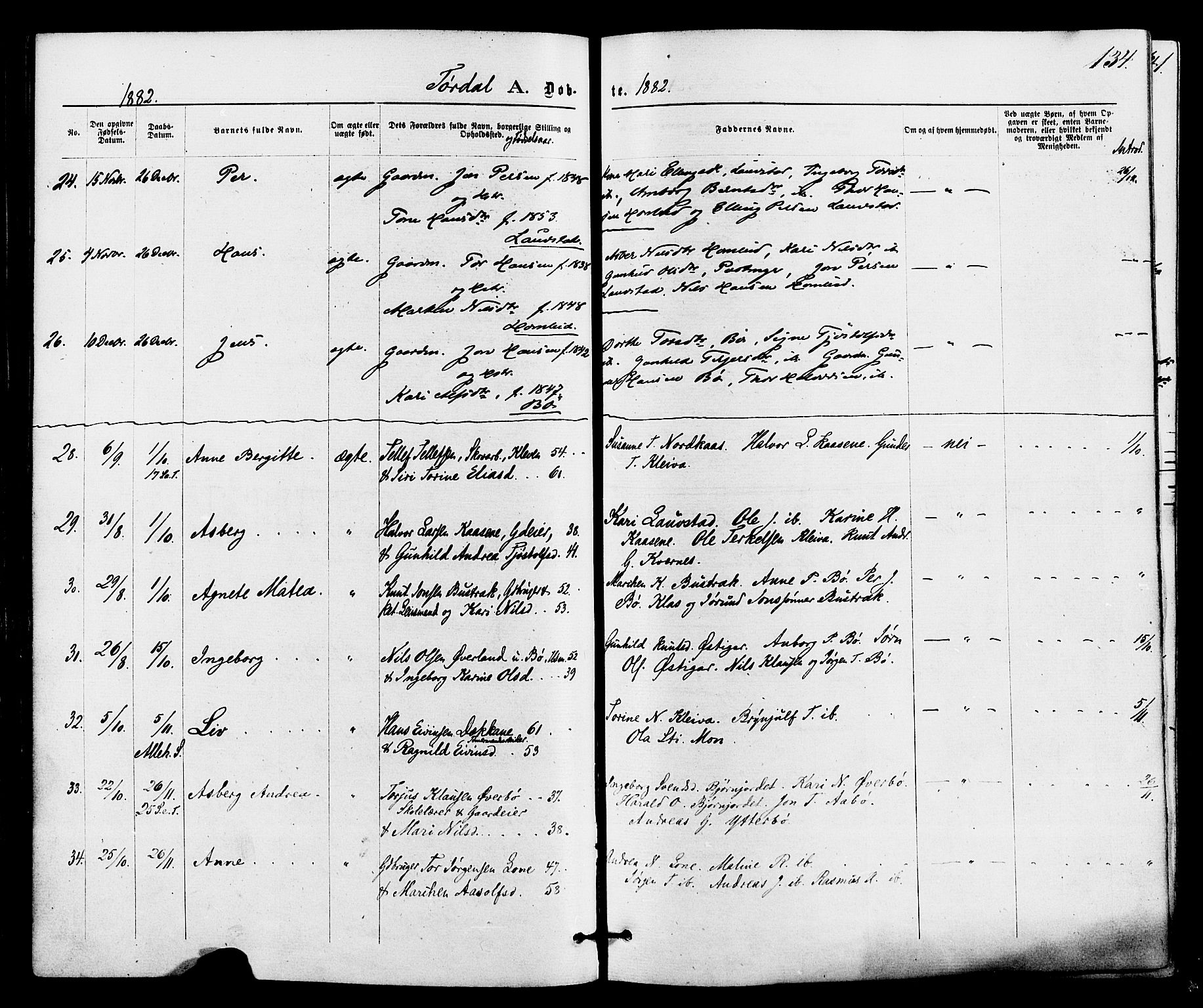 Drangedal kirkebøker, SAKO/A-258/F/Fa/L0009: Parish register (official) no. 9 /2, 1872-1884, p. 134
