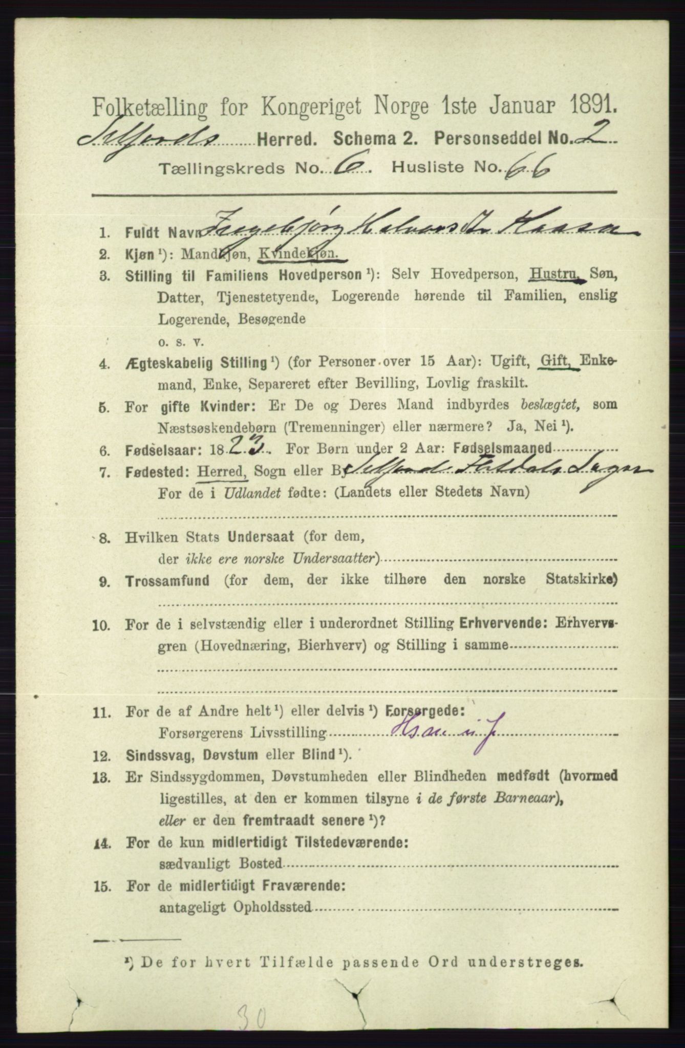 RA, 1891 census for 0828 Seljord, 1891, p. 2550