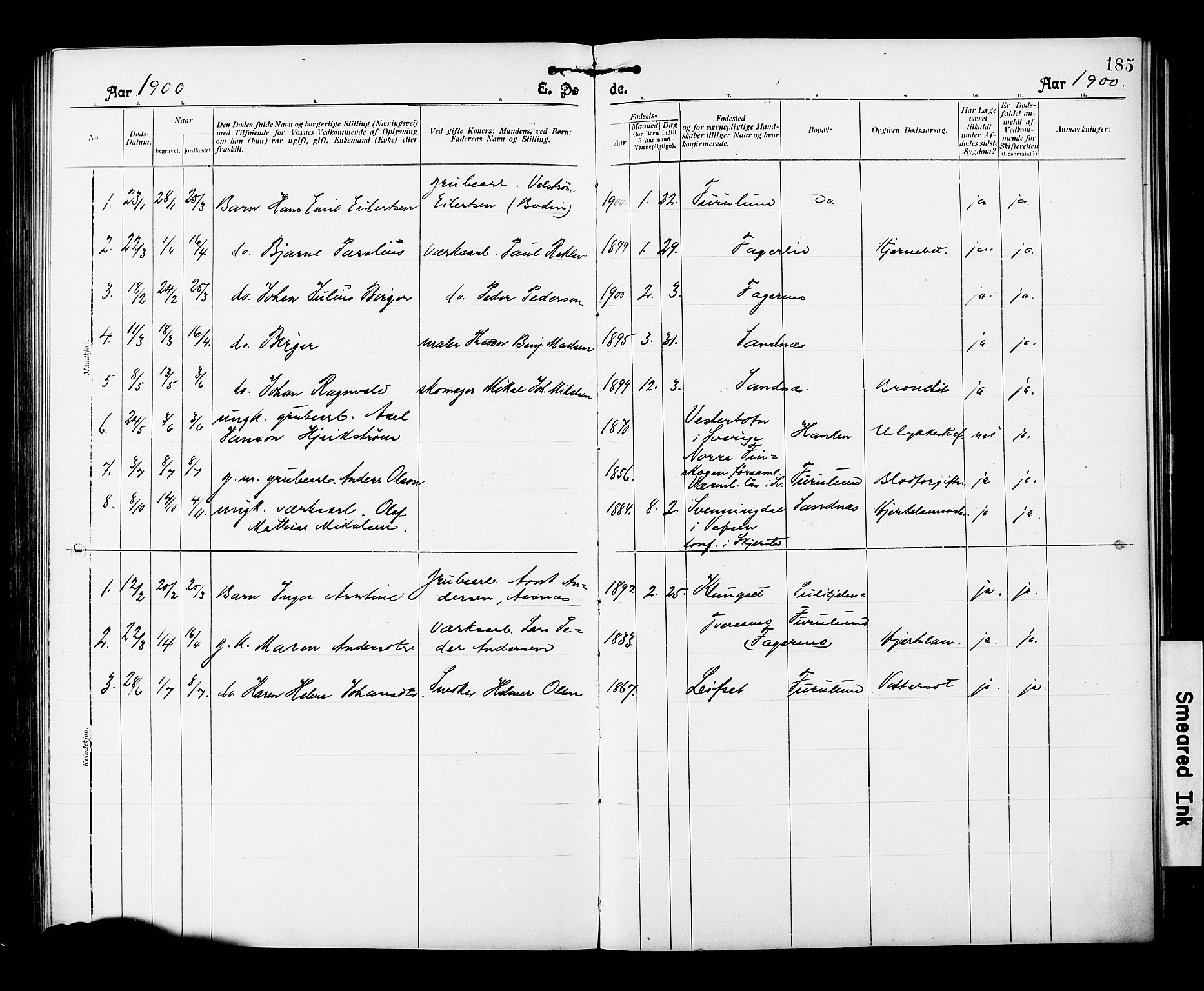 Ministerialprotokoller, klokkerbøker og fødselsregistre - Nordland, AV/SAT-A-1459/850/L0709: Parish register (official) no. 850A01, 1899-1909, p. 185