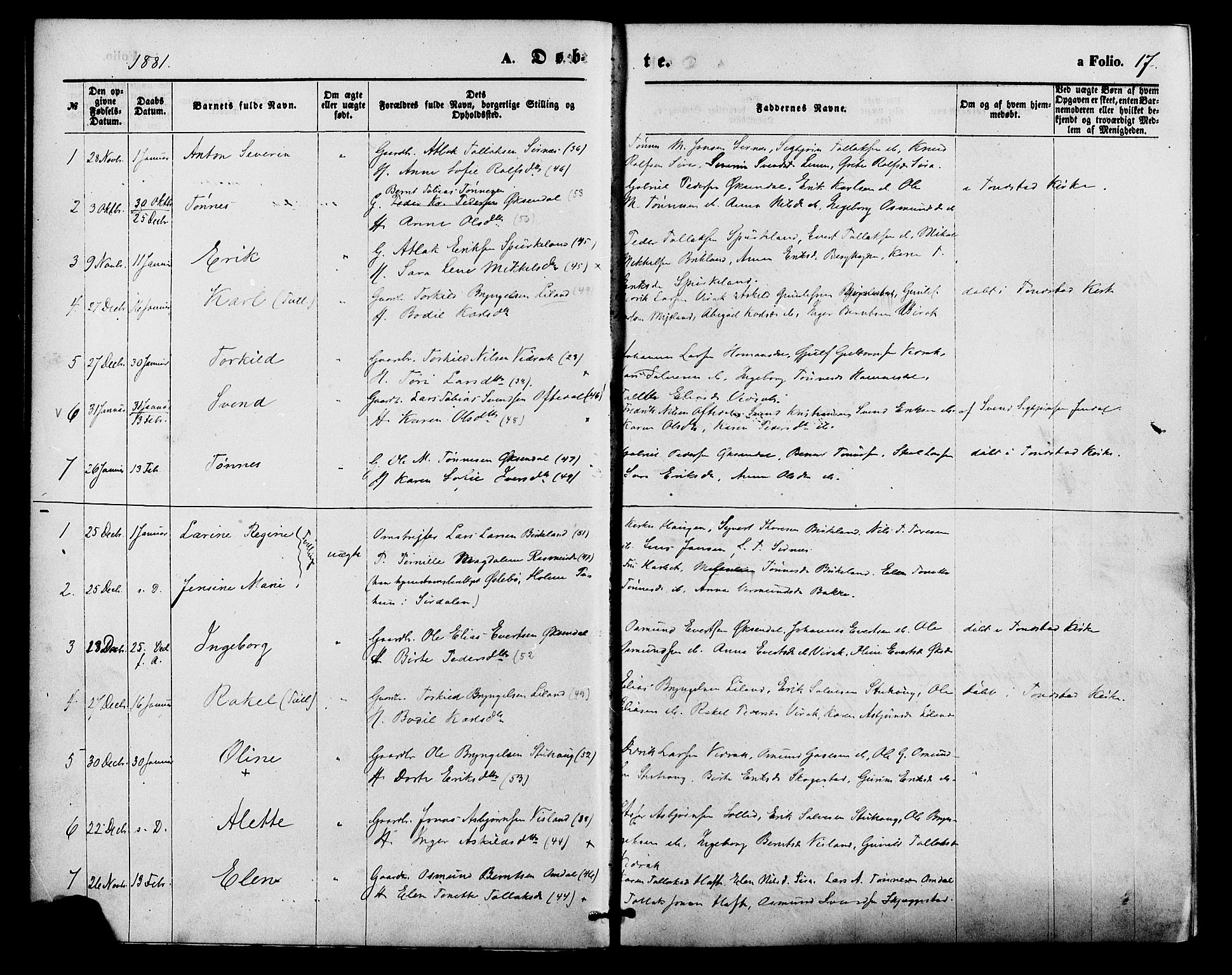 Bakke sokneprestkontor, AV/SAK-1111-0002/F/Fa/Faa/L0007: Parish register (official) no. A 7, 1877-1886, p. 17